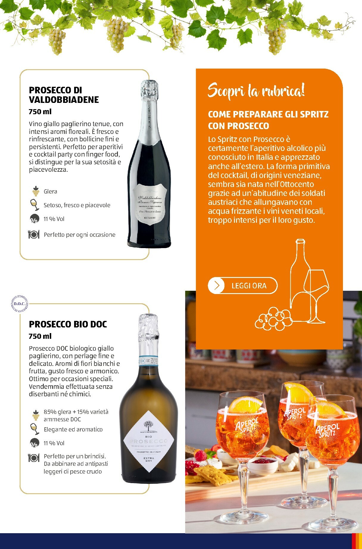 aldi - Volantino ALDI - Brochure Vinoteca valido dal 01/11 al 31/12 - page: 52