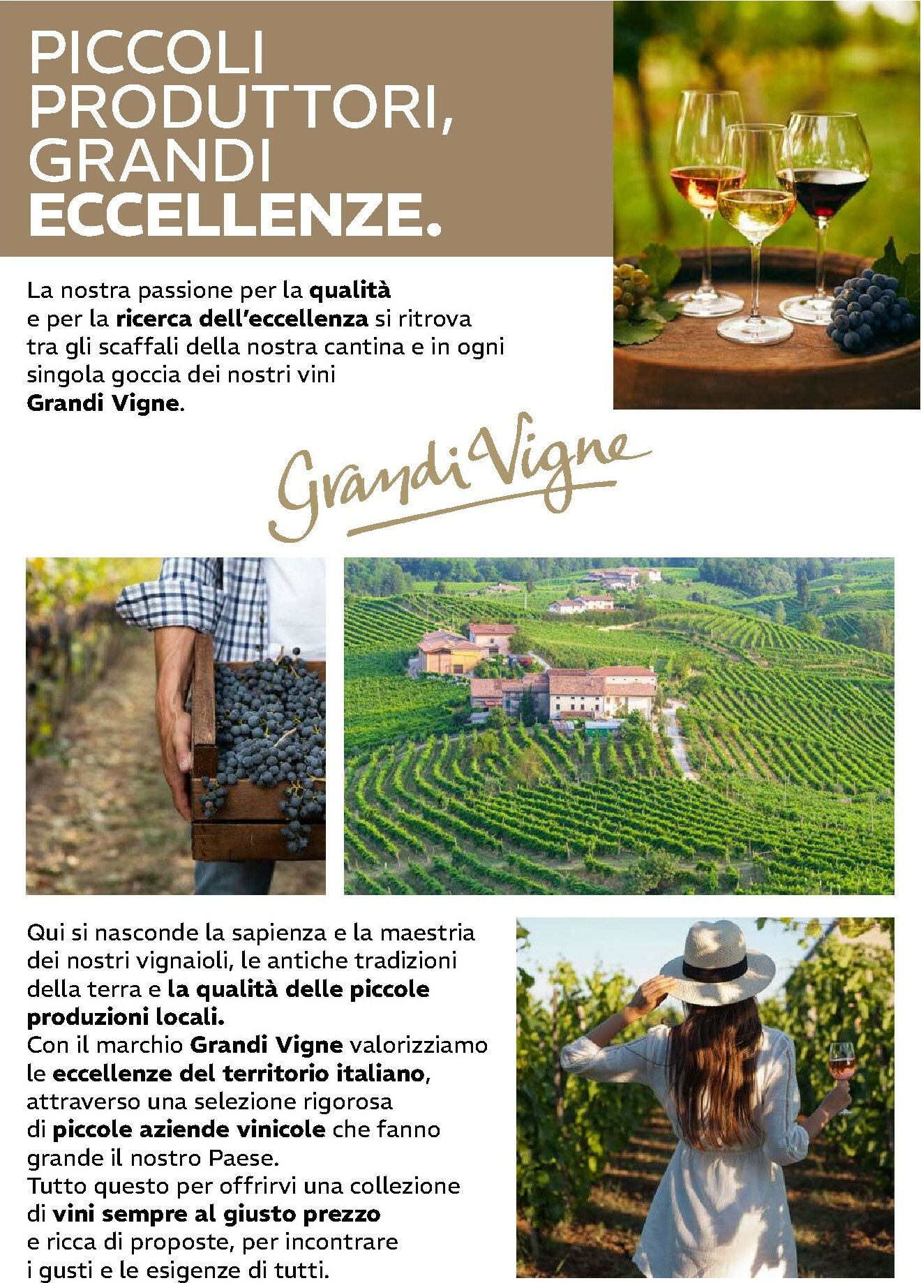 iper - Volantino Iper - Vino che Passione valido dal 13/10 al 02/11 - page: 2 iper - Volantino Iper - Vino che Passione valido dal 13/10 al 02/11 - page: 2