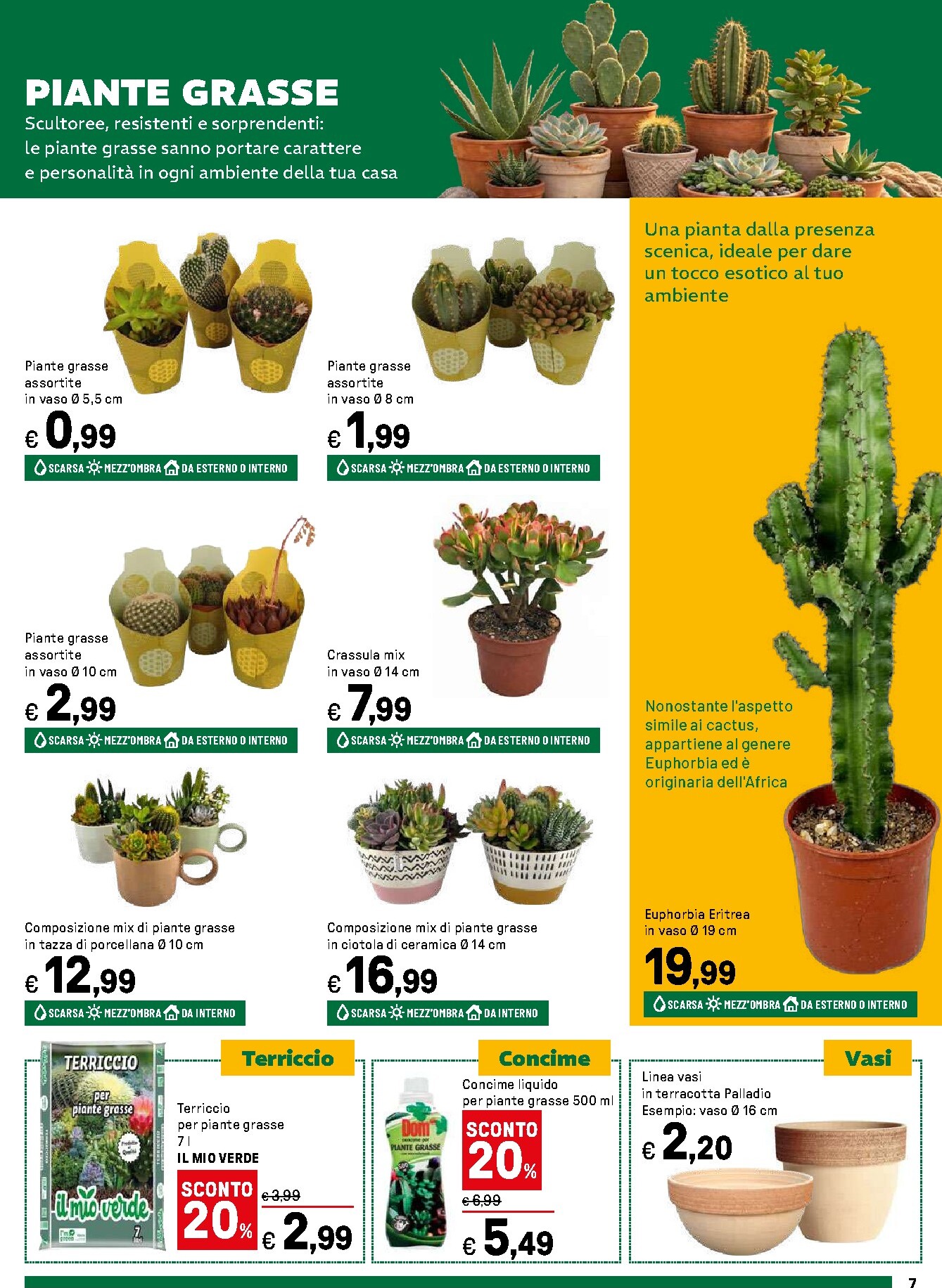 iper - Volantino Iper - Giardino in fiore valido dal 16/03/2026 al 12/04/2026 - page: 7