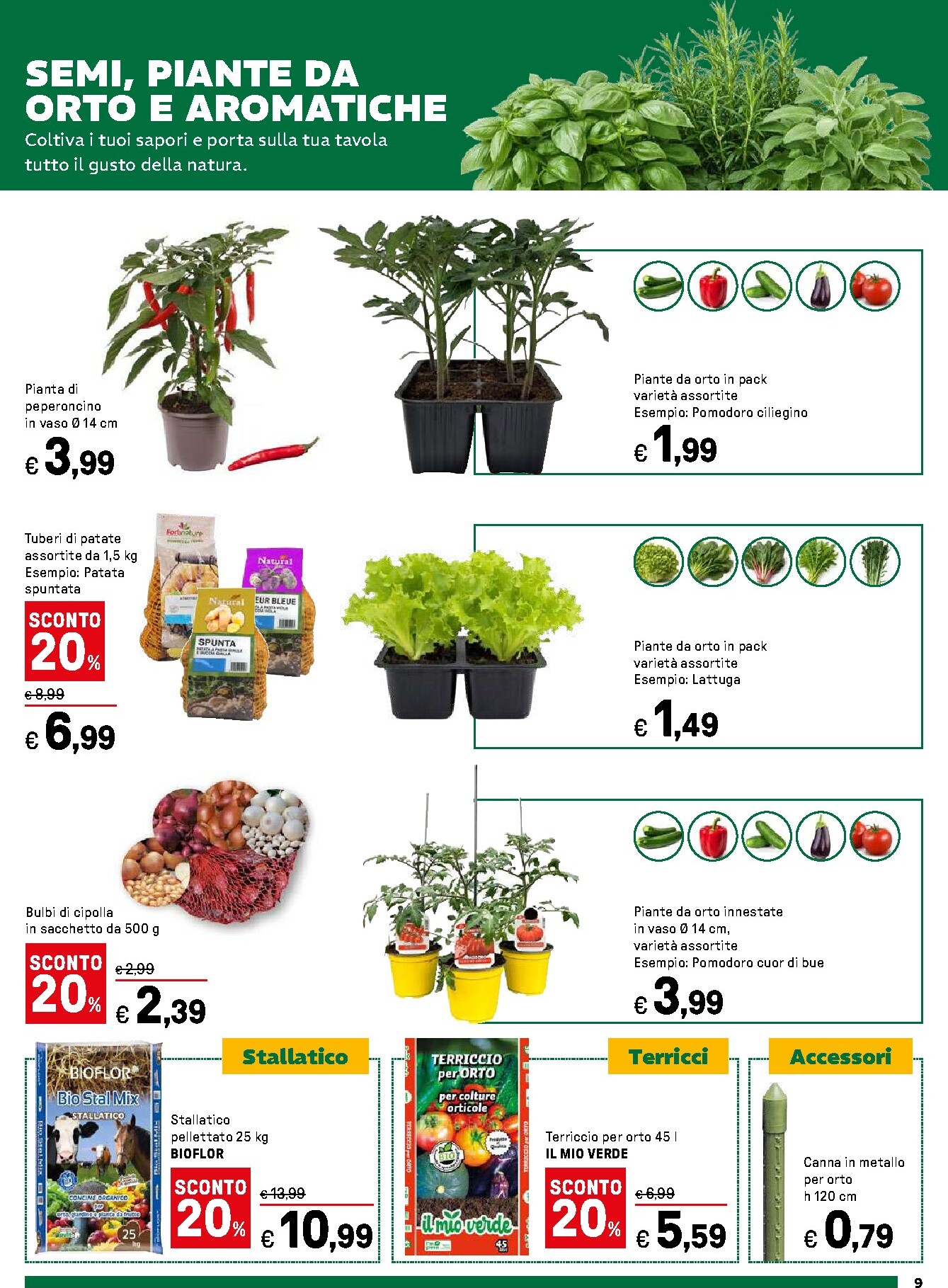 iper - Volantino Iper - Giardino in fiore valido dal 16/03/2026 al 12/04/2026 - page: 9
