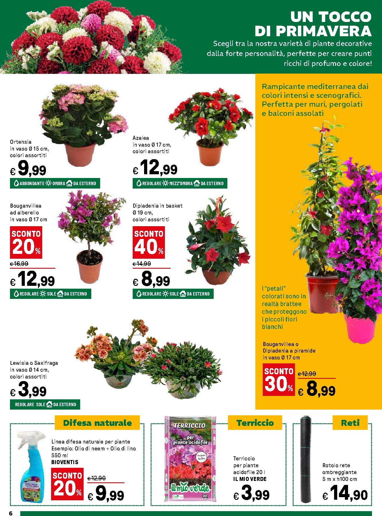 iper - Volantino Iper - Giardino in fiore valido dal 16/03/2026 al 12/04/2026 - page: 6