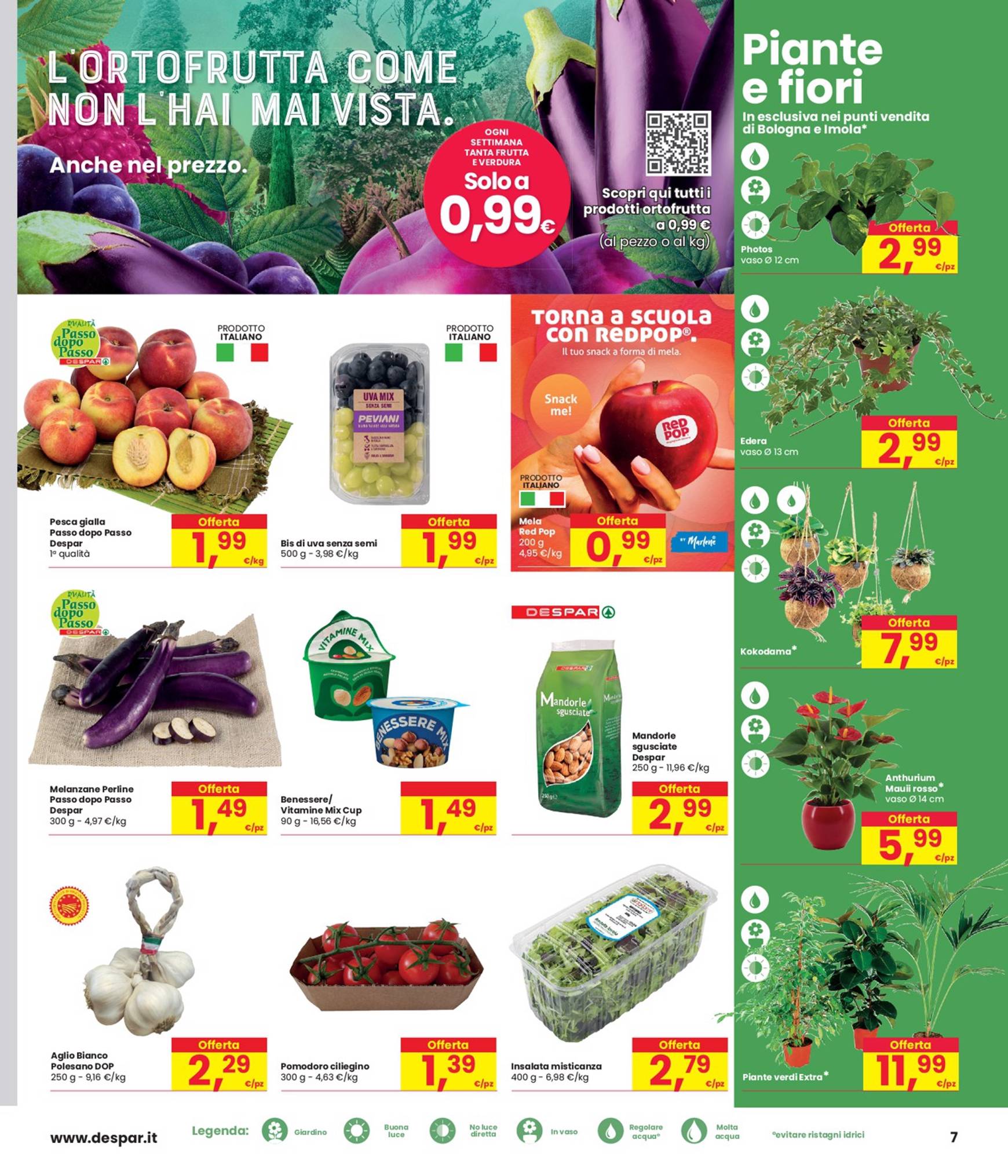 interspar - Nuovo volantino INTERSPAR - Sconti del 20-30-40% 29.08. - 11.09. - page: 7