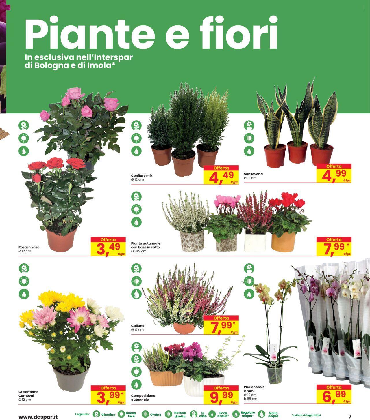 interspar - Interspar volantino 10/10/2024 - 23/10/2024 - page: 7