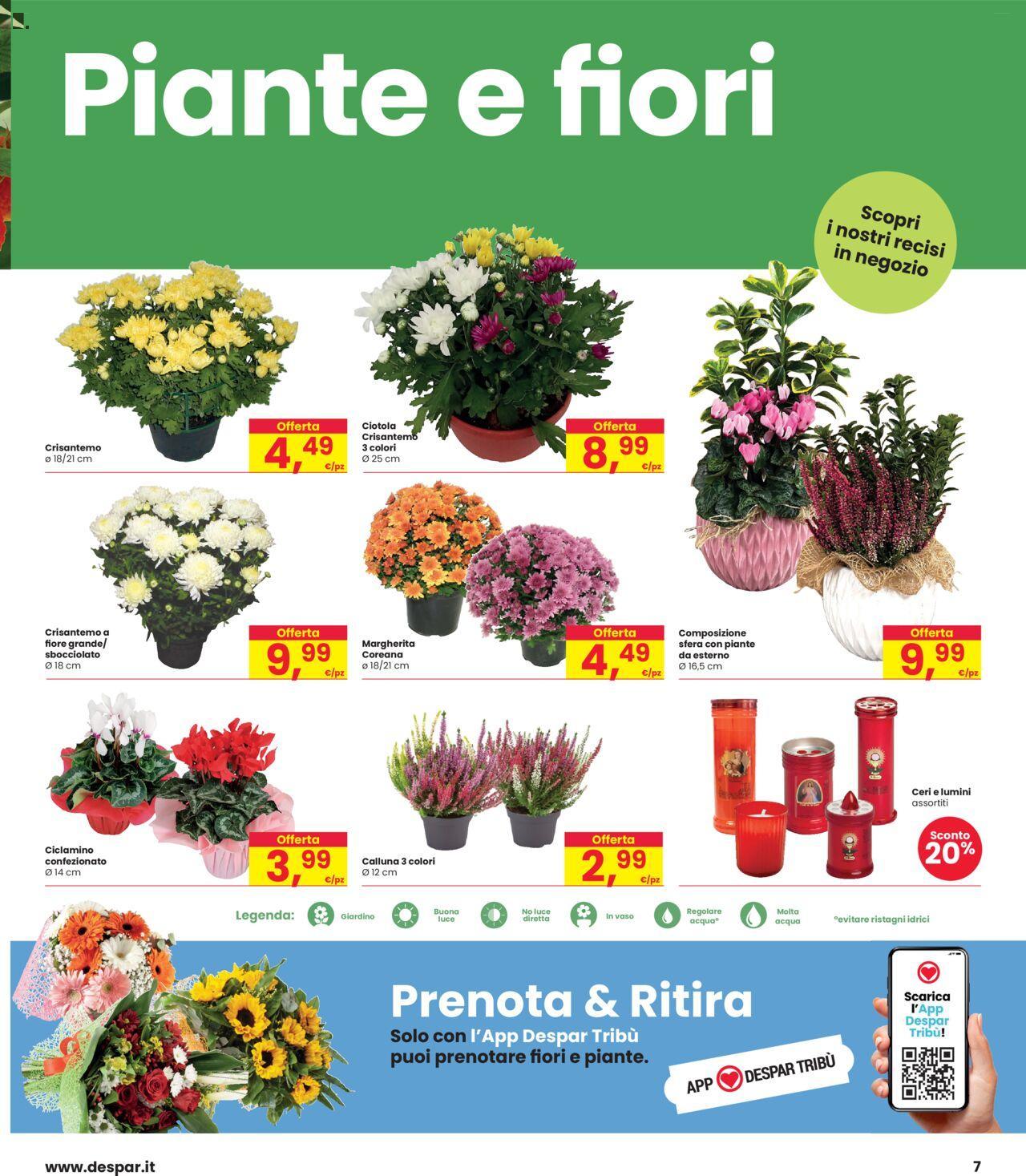 interspar - Interspar volantino 24/10/2024 - 06/11/2024 - page: 7