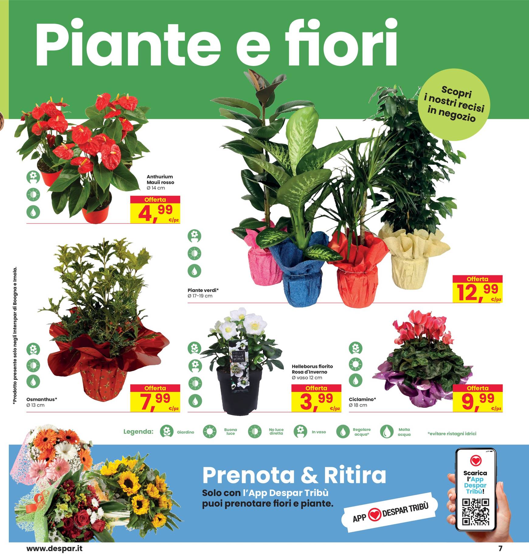 interspar - Volantino INTERSPAR valido dal 21/11 al 04/12 - page: 7