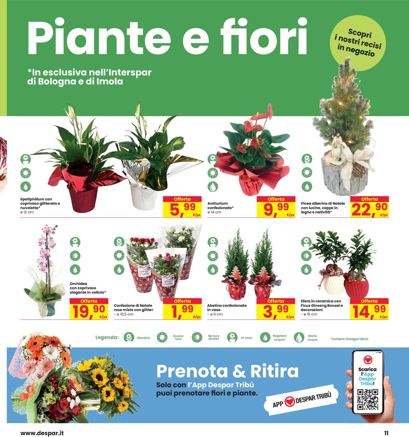 interspar - Volantino INTERSPAR valido dal 05/12 al 14/12 - page: 11