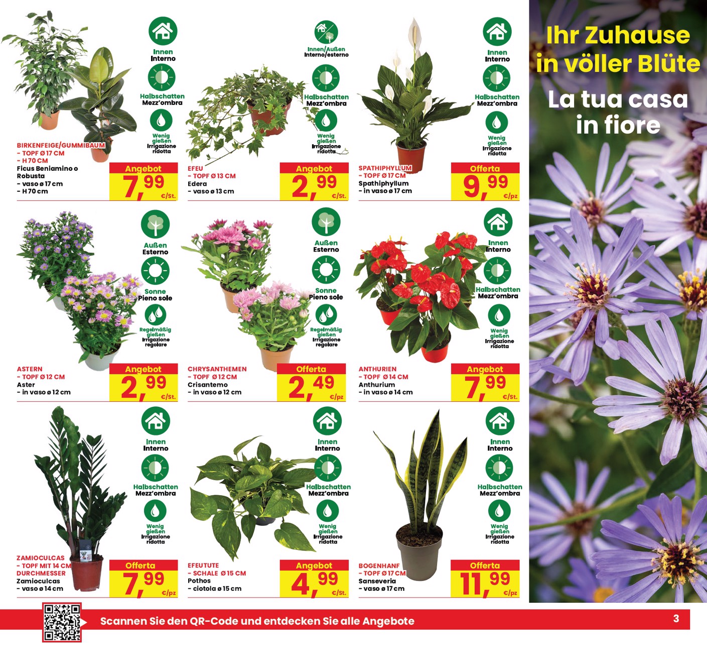 eurospar - Volantino attuale di Eurospar valido dal giovedì 03/09/2026 al mercoledì 16/09/2026 - page: 3