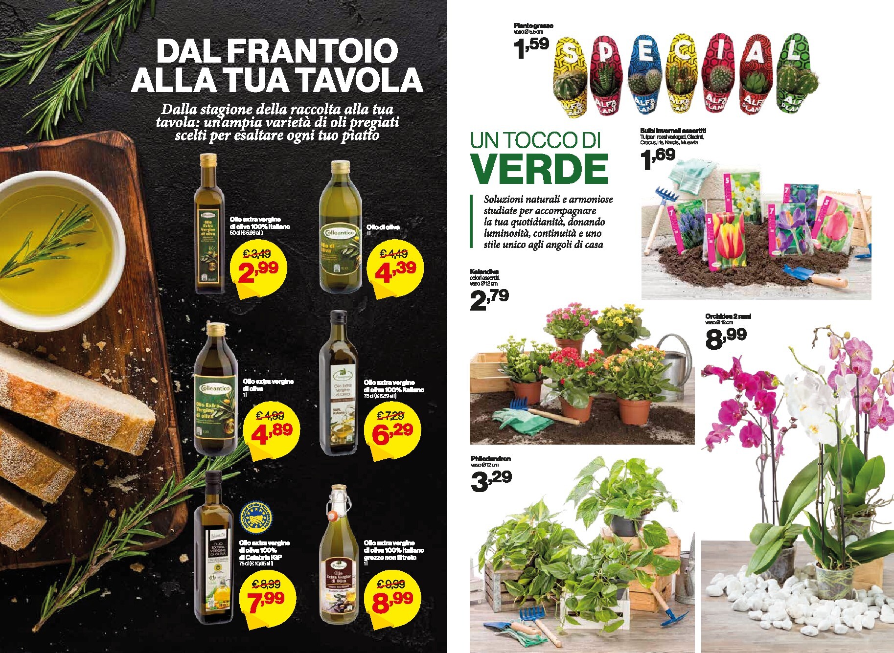 in-s - Volantino futuro In's valido dal mercoledì 09/09/2026 al domenica 20/09/2026 - page: 7