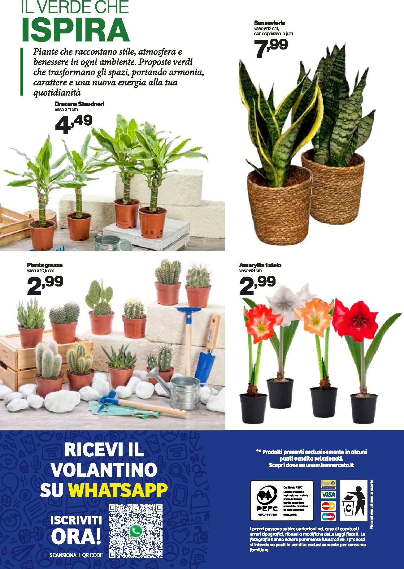 in-s - Volantino In's valido dal 31/12 al 11/01 - page: 13