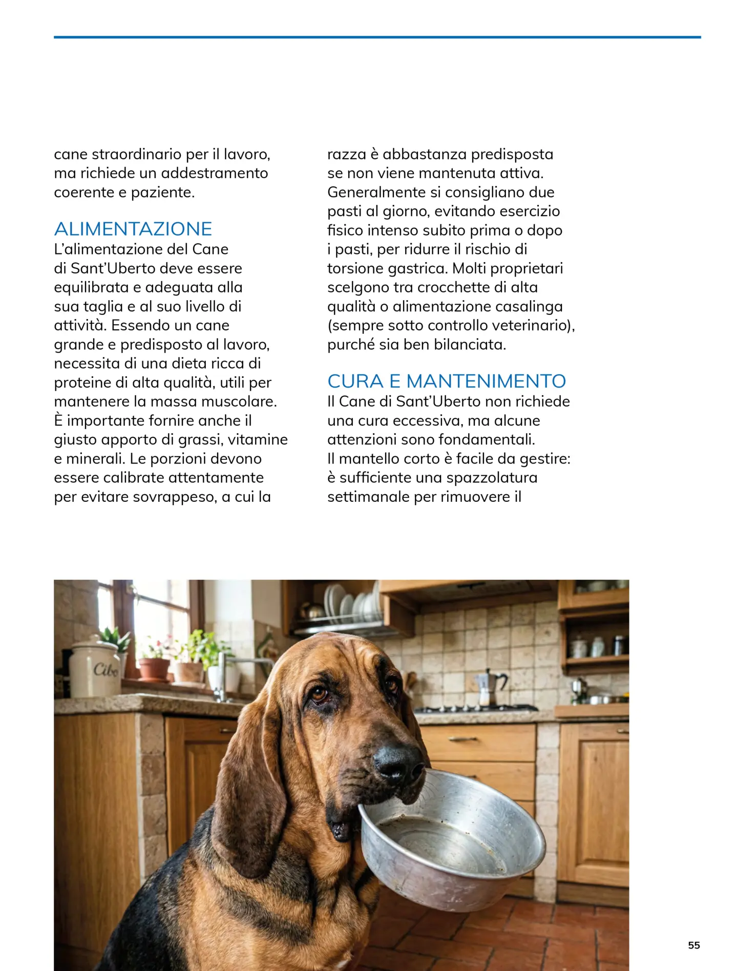 basko - Volantino attuale di Basko - Magazine valido dal venerdì 01/05/2026 al domenica 31/05/2026 - page: 55
