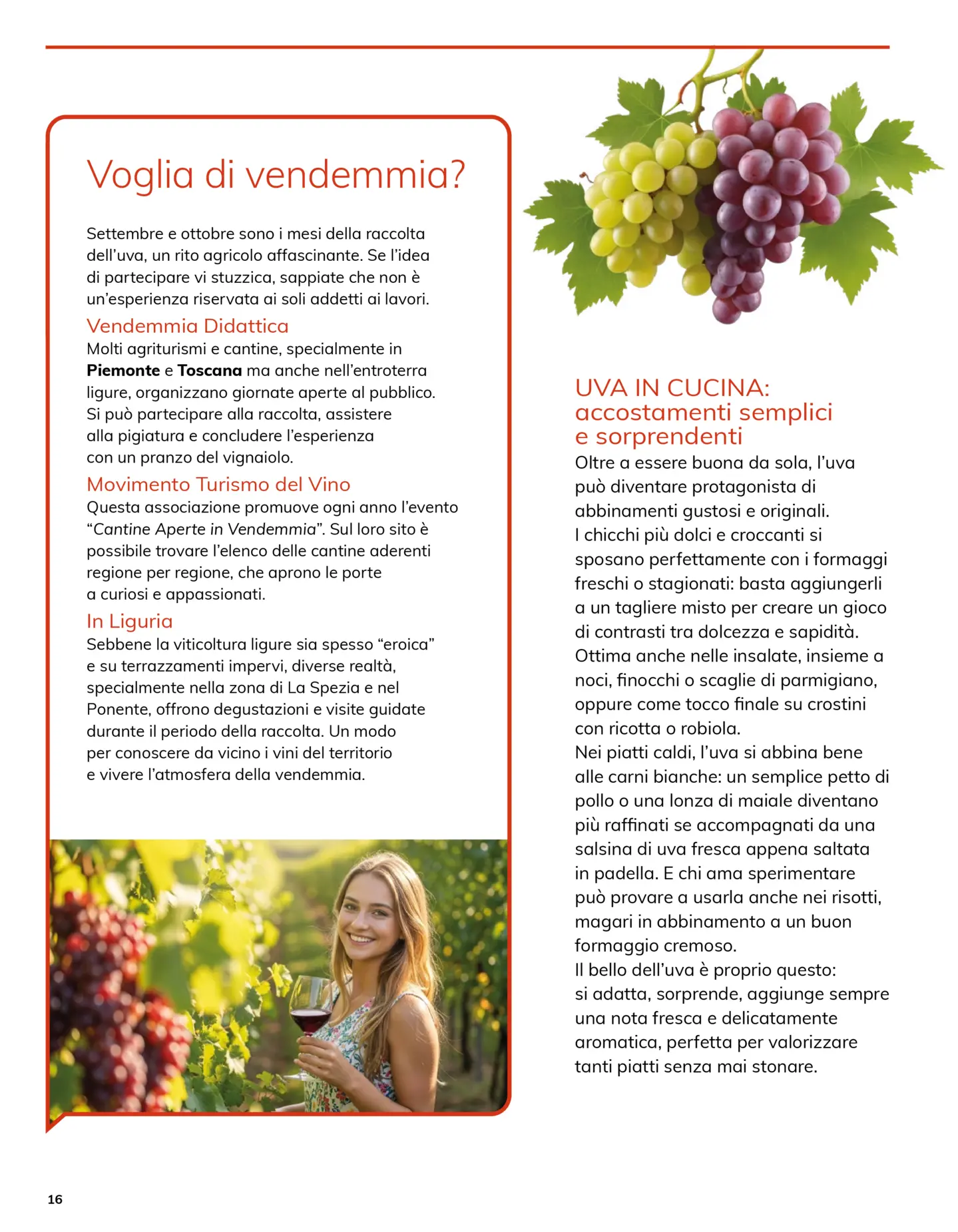 basko - Volantino Basko - Buongiorno Settembre valido dal 01/09 al 30/09 - page: 16 basko - Volantino Basko - Buongiorno Settembre valido dal 01/09 al 30/09 - page: 16