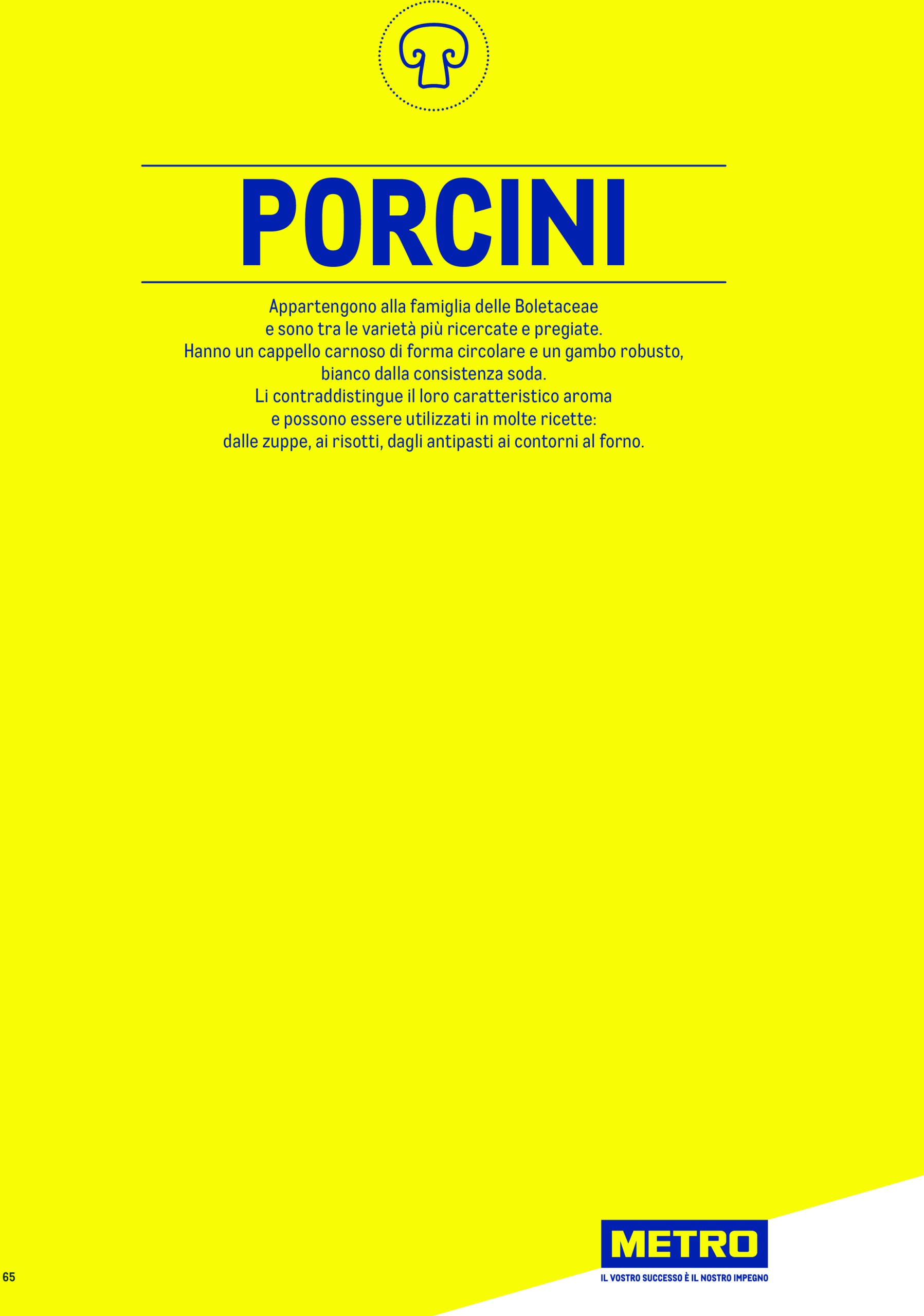 metro - Volantino Metro - Catalogo Surgelat valido dal 20/05 al 31/05 - page: 65 metro - Volantino Metro - Catalogo Surgelat valido dal 20/05 al 31/05 - page: 65
