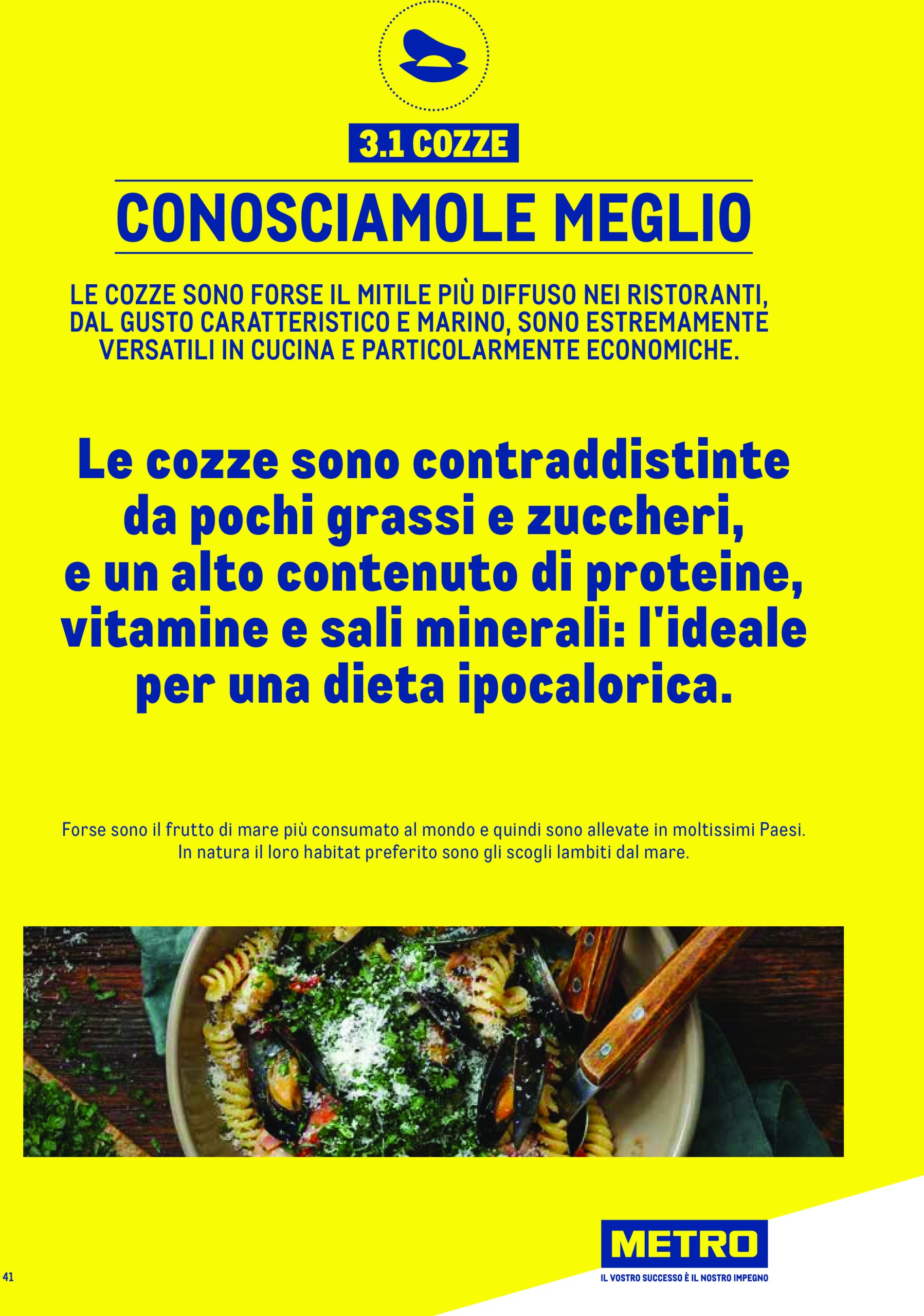 metro - Volantino Metro - Catalogo Surgelat valido dal 20/05 al 31/05 - page: 41 metro - Volantino Metro - Catalogo Surgelat valido dal 20/05 al 31/05 - page: 41