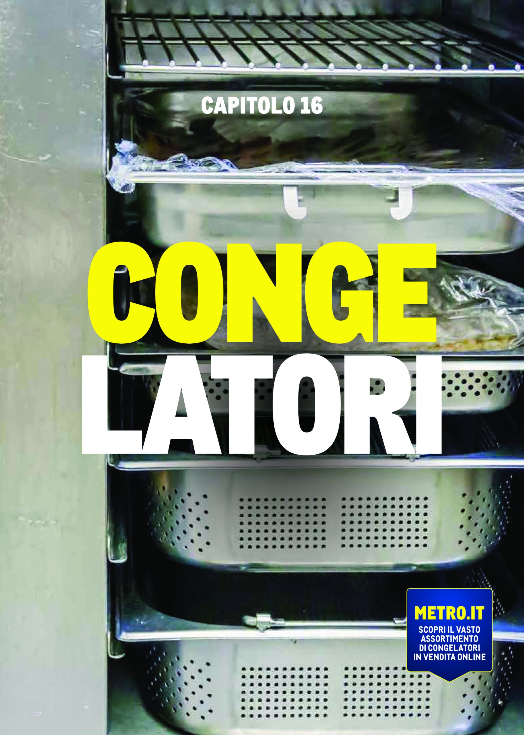 metro - Volantino Metro - Catalogo Surgelat valido dal 20/05 al 31/05 - page: 102 metro - Volantino Metro - Catalogo Surgelat valido dal 20/05 al 31/05 - page: 102