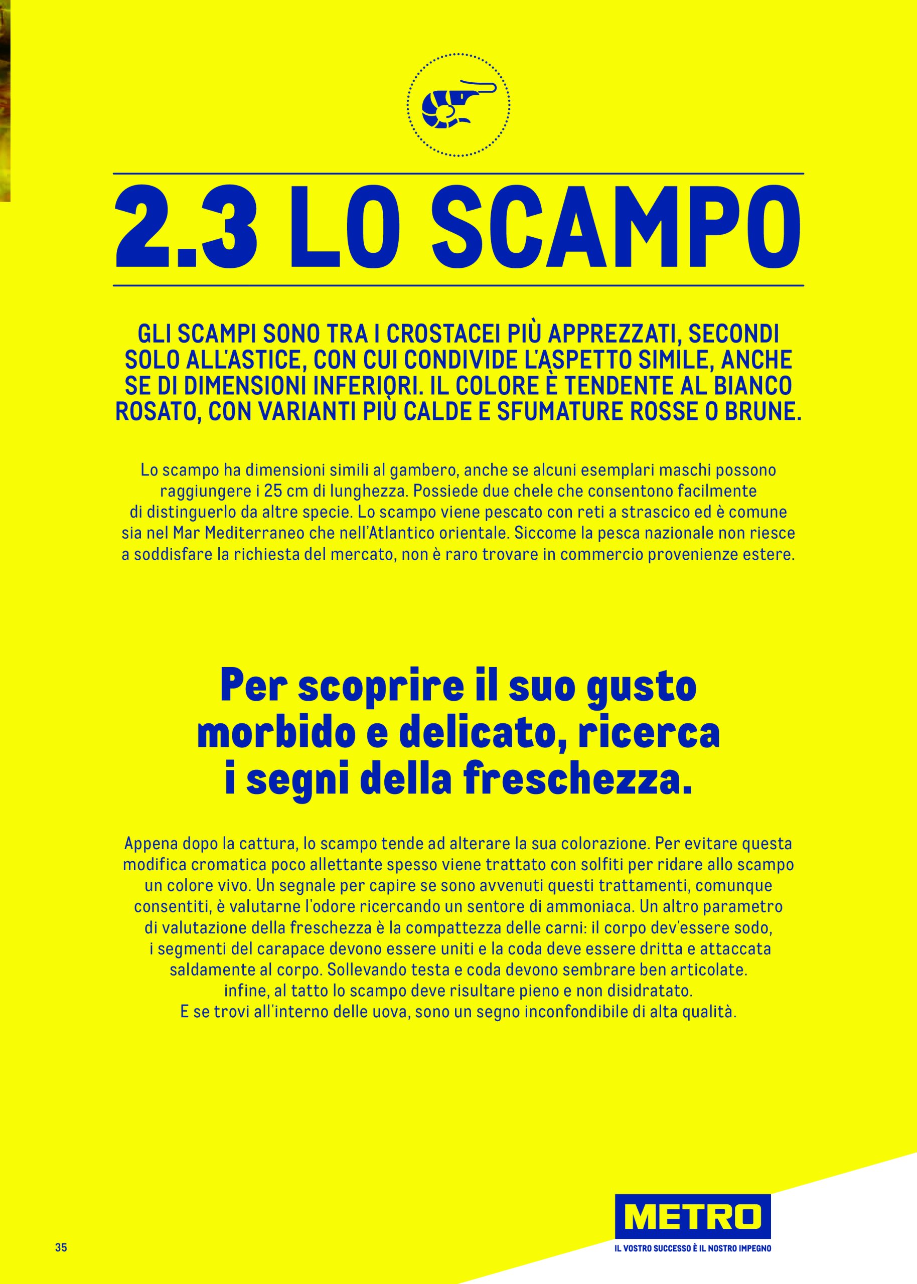 metro - Volantino Metro - Catalogo Surgelat valido dal 20/05 al 31/05 - page: 35 metro - Volantino Metro - Catalogo Surgelat valido dal 20/05 al 31/05 - page: 35