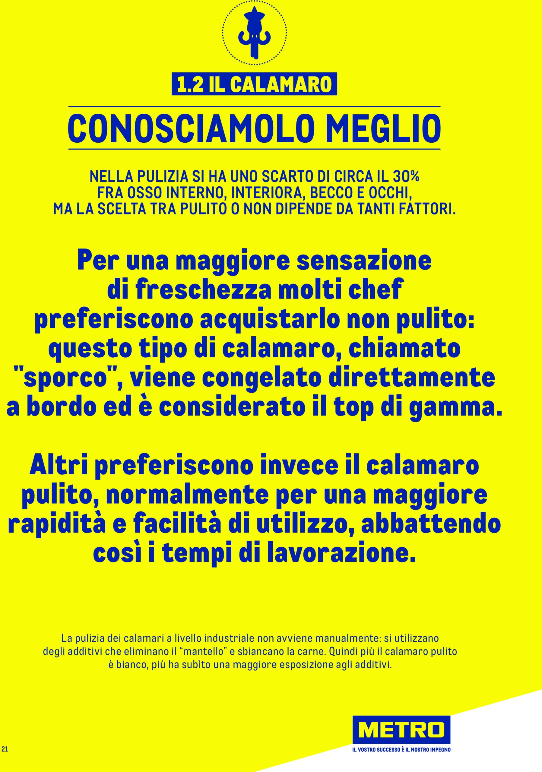 metro - Volantino Metro - Catalogo Surgelat valido dal 20/05 al 31/05 - page: 21 metro - Volantino Metro - Catalogo Surgelat valido dal 20/05 al 31/05 - page: 21