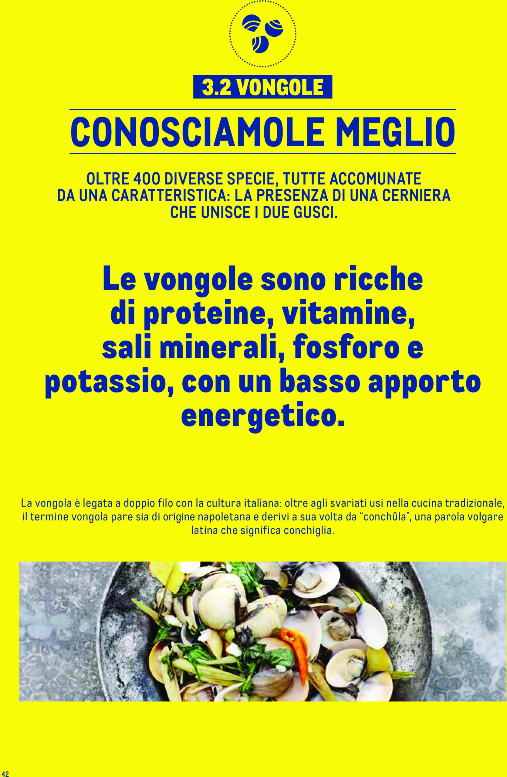 metro - Volantino Metro - Catalogo Surgelat valido dal 20/05 al 31/05 - page: 42 metro - Volantino Metro - Catalogo Surgelat valido dal 20/05 al 31/05 - page: 42