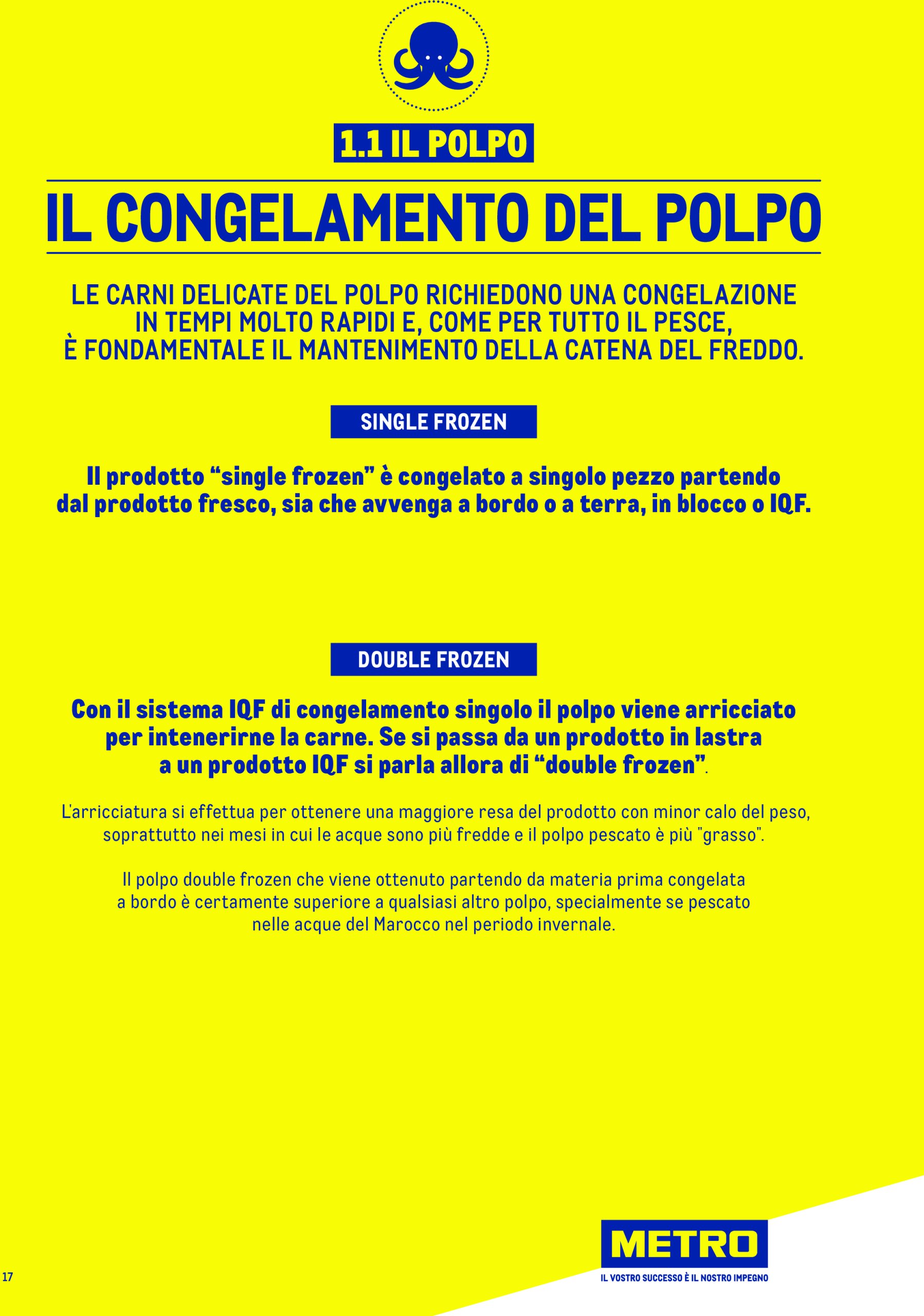 metro - Volantino Metro - Catalogo Surgelat valido dal 20/05 al 31/05 - page: 17 metro - Volantino Metro - Catalogo Surgelat valido dal 20/05 al 31/05 - page: 17