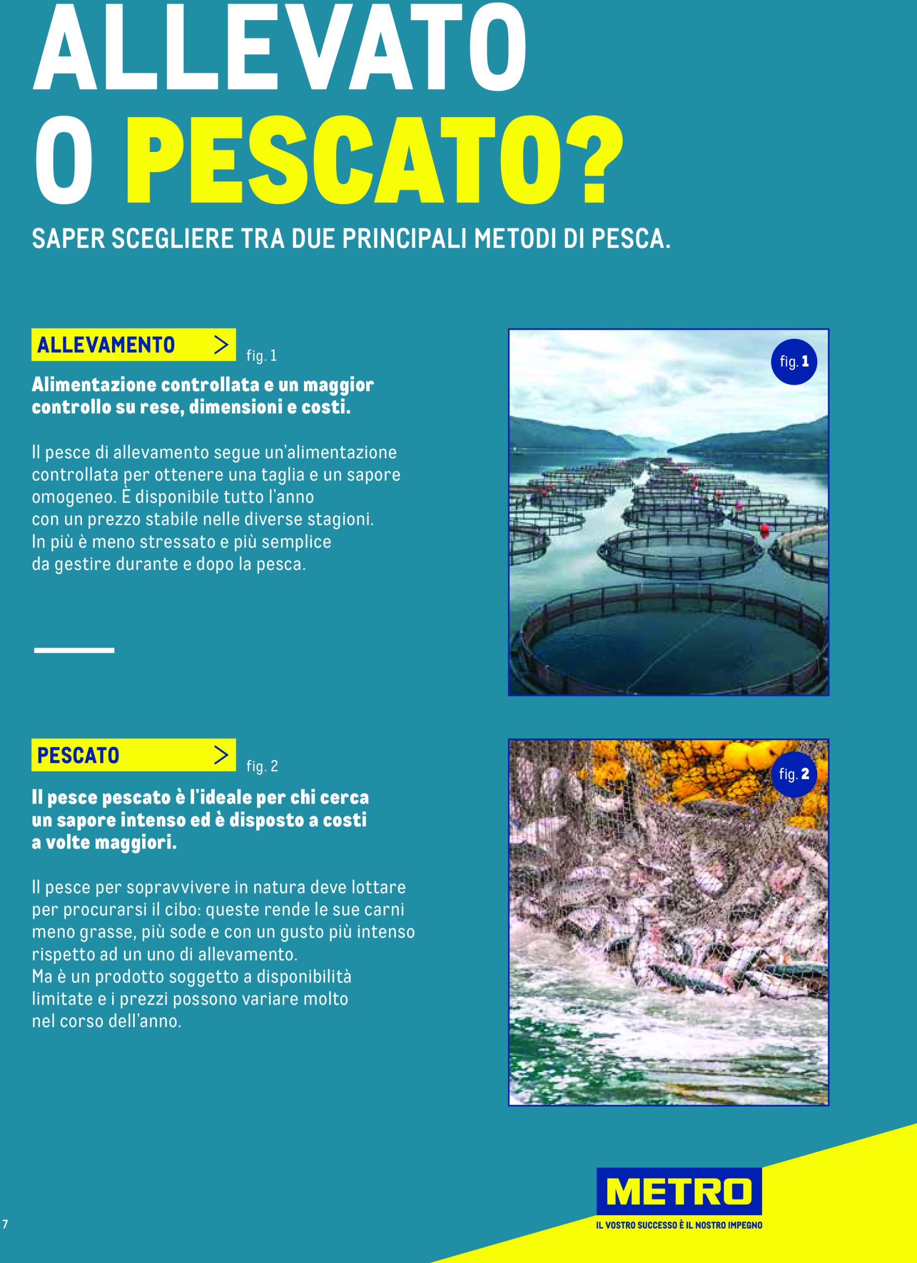 metro - Volantino Metro - Catalogo Surgelat valido dal 20/05 al 31/05 - page: 7 metro - Volantino Metro - Catalogo Surgelat valido dal 20/05 al 31/05 - page: 7