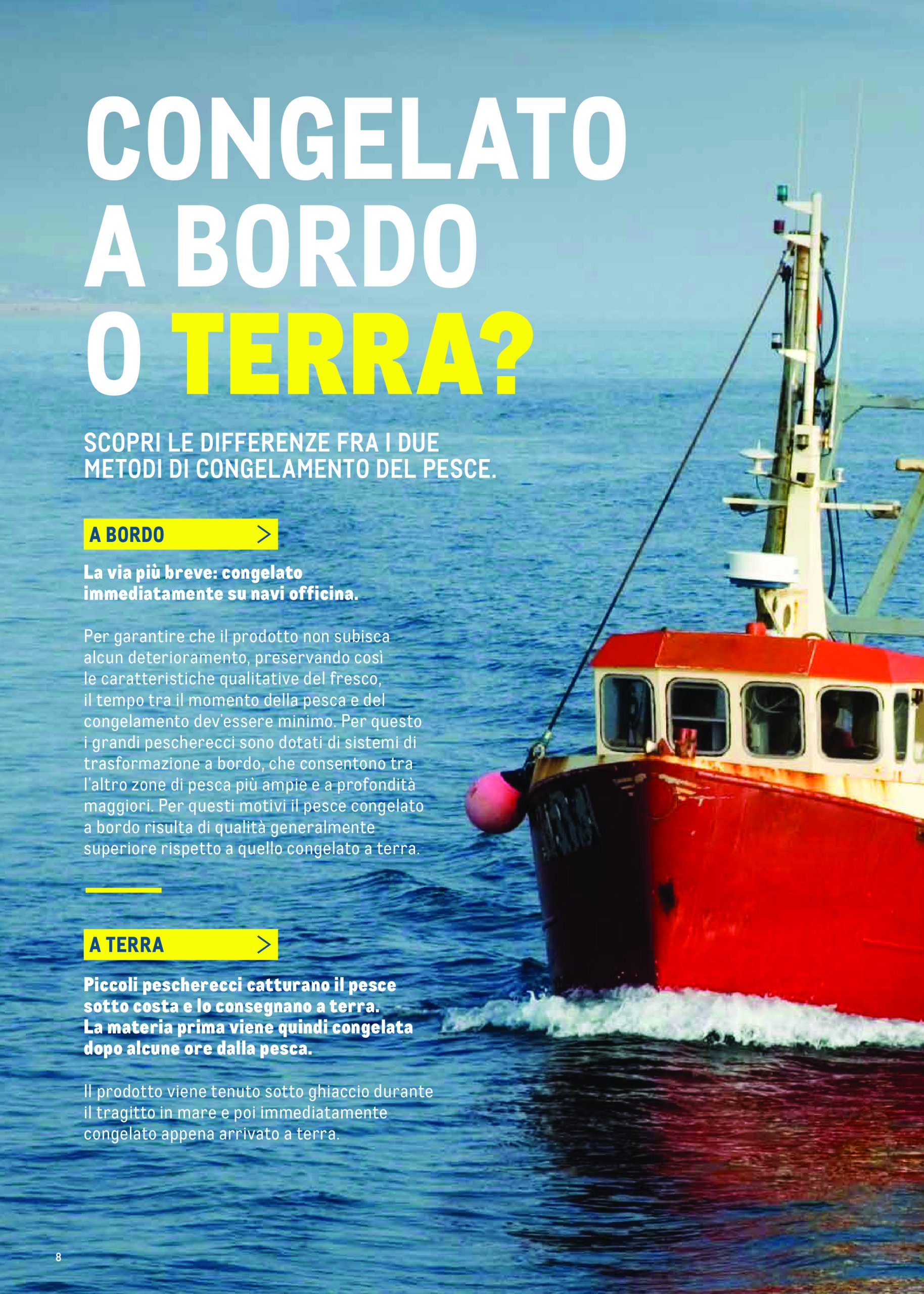 metro - Volantino Metro - Catalogo Surgelat valido dal 20/05 al 31/05 - page: 8 metro - Volantino Metro - Catalogo Surgelat valido dal 20/05 al 31/05 - page: 8