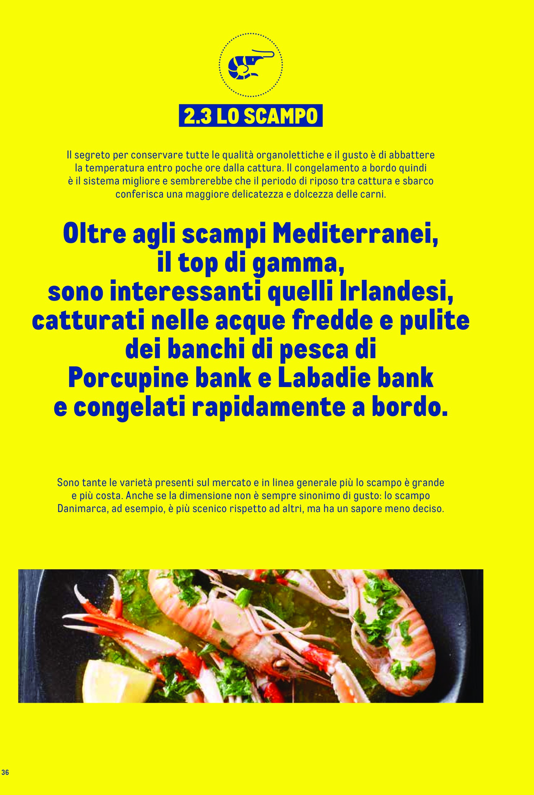 metro - Volantino Metro - Catalogo Surgelat valido dal 20/05 al 31/05 - page: 36 metro - Volantino Metro - Catalogo Surgelat valido dal 20/05 al 31/05 - page: 36