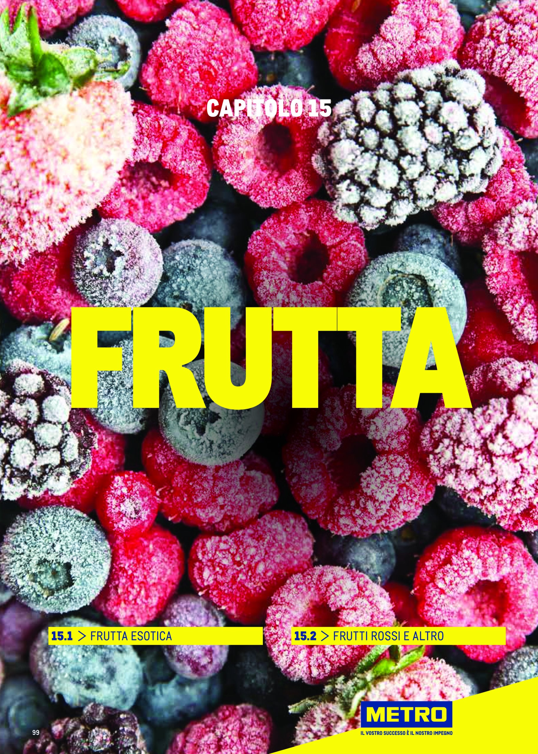 metro - Volantino Metro - Catalogo Surgelat valido dal 20/05 al 31/05 - page: 99 metro - Volantino Metro - Catalogo Surgelat valido dal 20/05 al 31/05 - page: 99