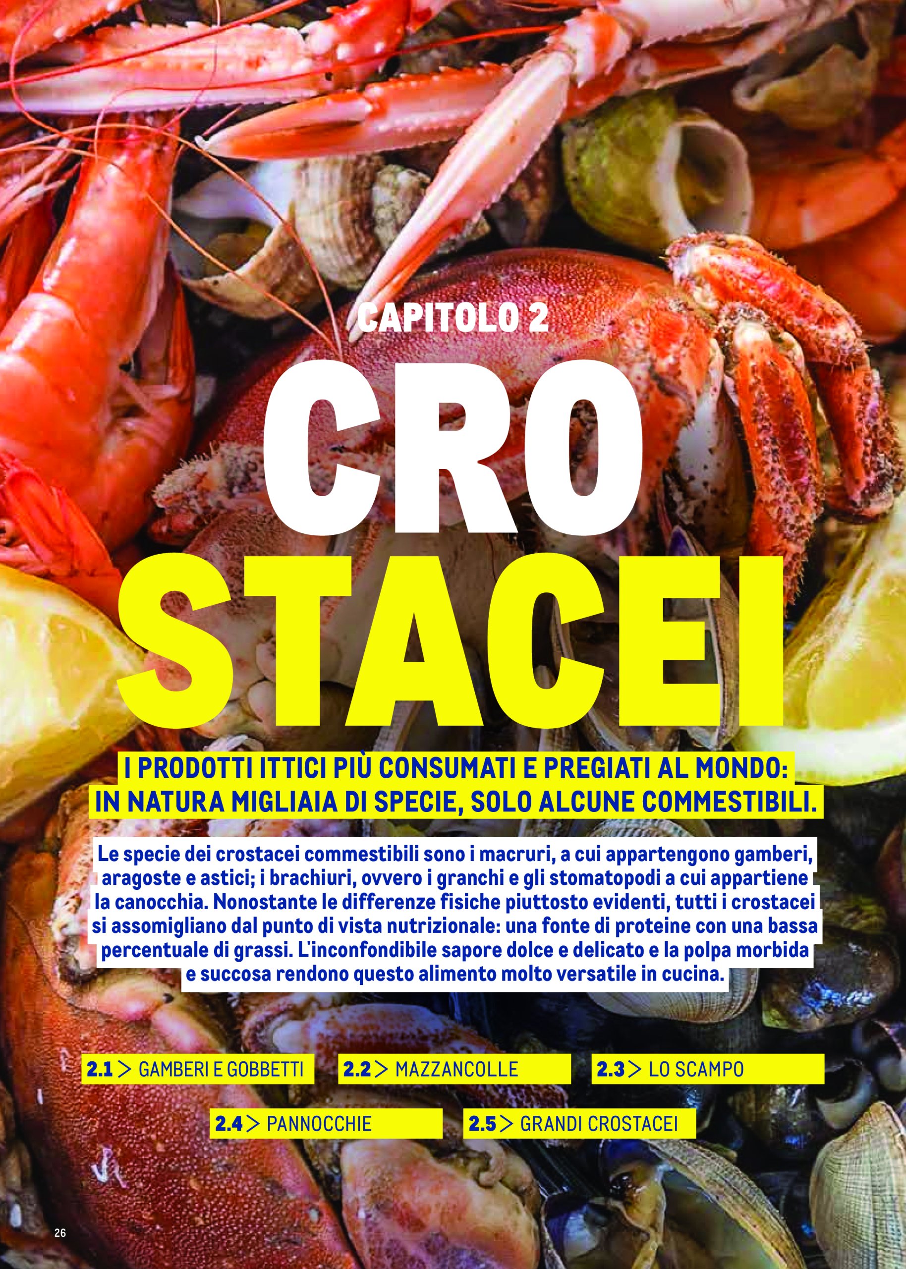 metro - Volantino Metro - Catalogo Surgelat valido dal 20/05 al 31/05 - page: 26 metro - Volantino Metro - Catalogo Surgelat valido dal 20/05 al 31/05 - page: 26