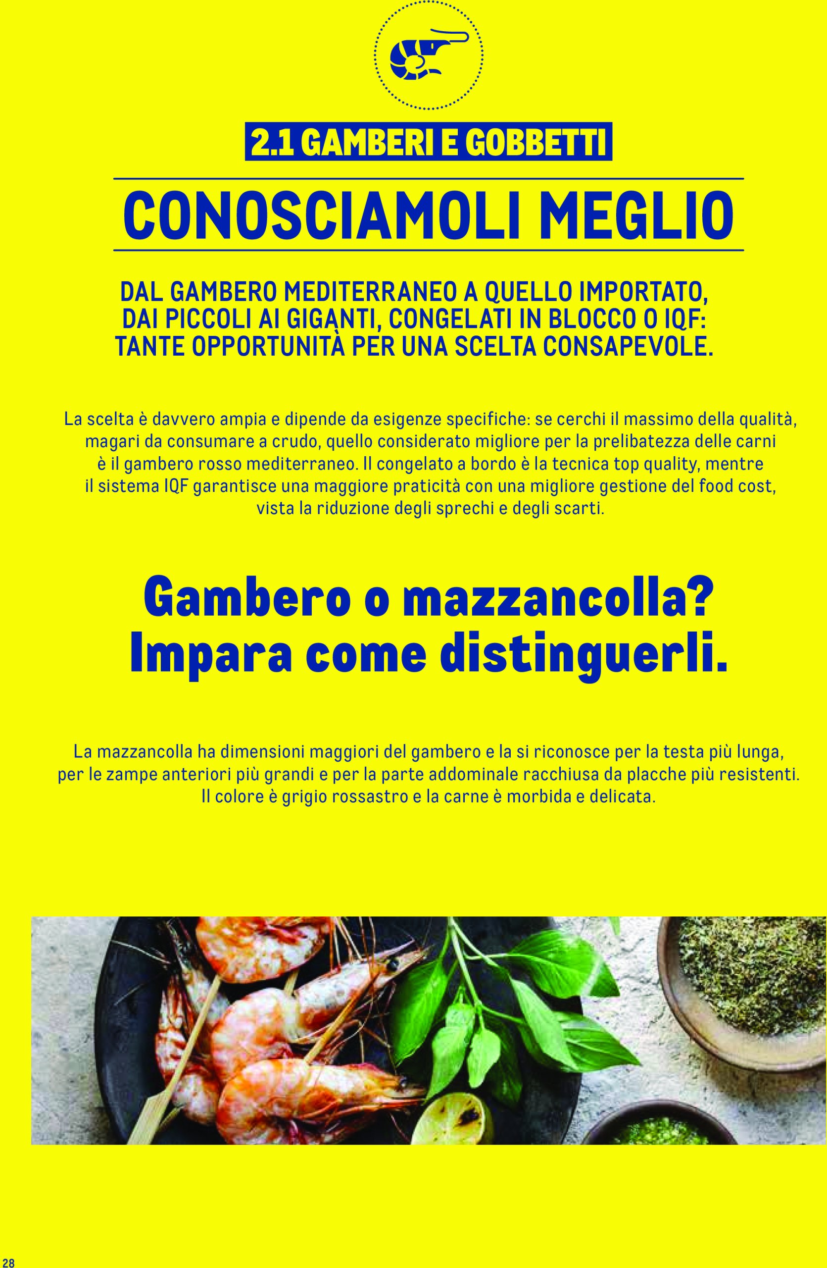 metro - Volantino Metro - Catalogo Surgelat valido dal 20/05 al 31/05 - page: 28 metro - Volantino Metro - Catalogo Surgelat valido dal 20/05 al 31/05 - page: 28