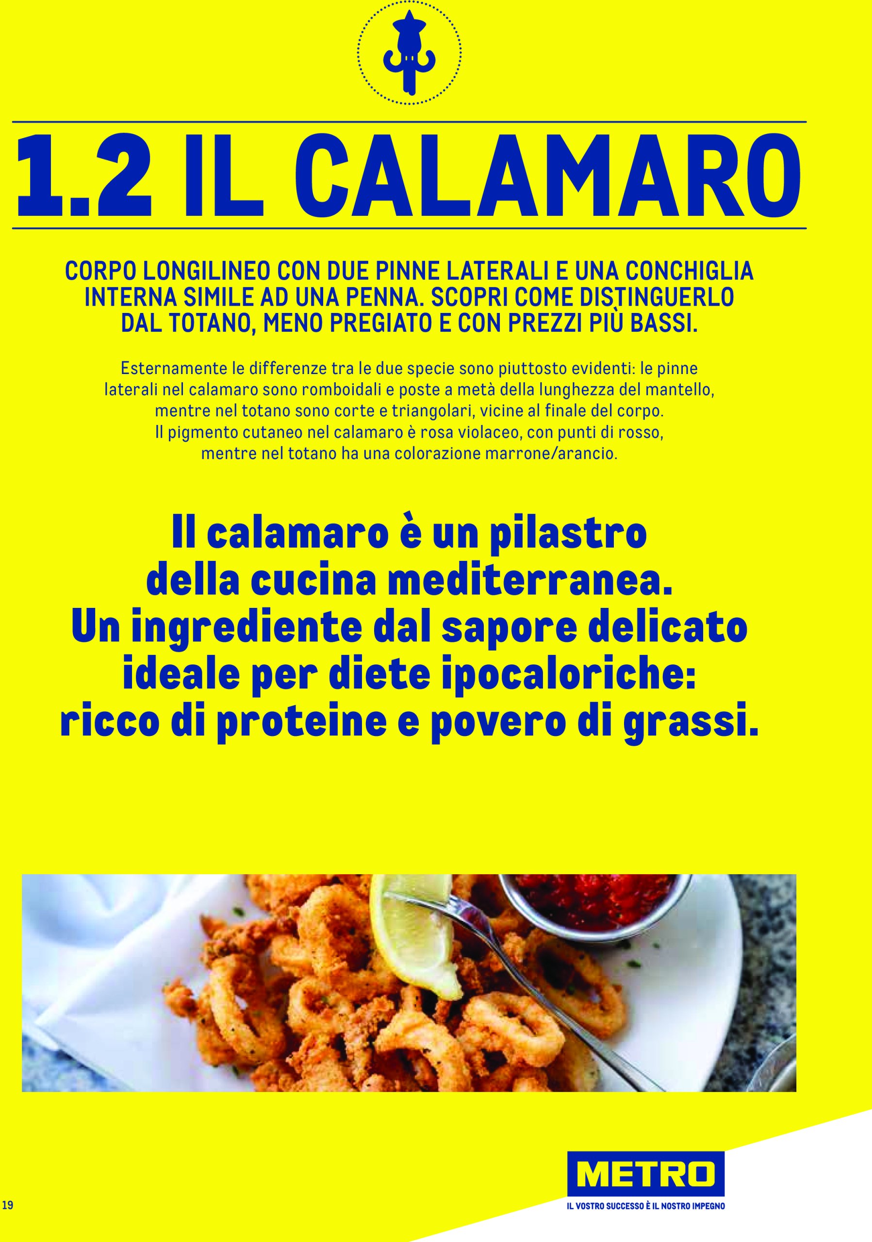 metro - Volantino Metro - Catalogo Surgelat valido dal 20/05 al 31/05 - page: 19 metro - Volantino Metro - Catalogo Surgelat valido dal 20/05 al 31/05 - page: 19