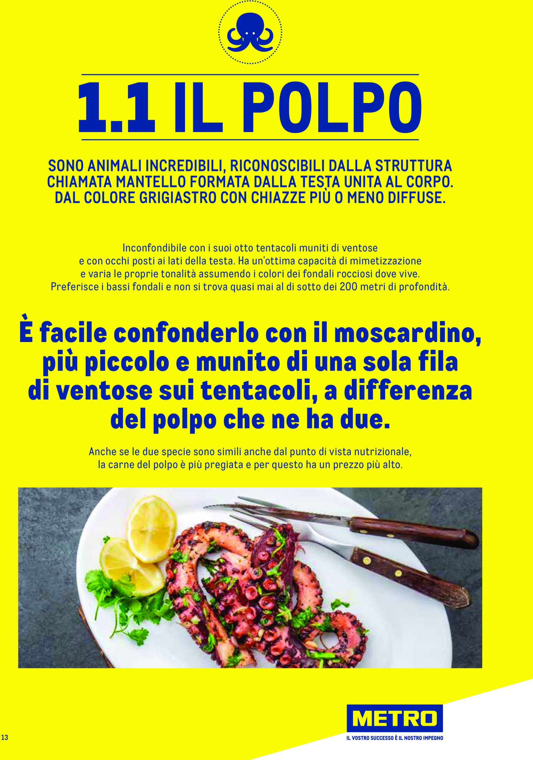 metro - Volantino Metro - Catalogo Surgelat valido dal 20/05 al 31/05 - page: 13 metro - Volantino Metro - Catalogo Surgelat valido dal 20/05 al 31/05 - page: 13