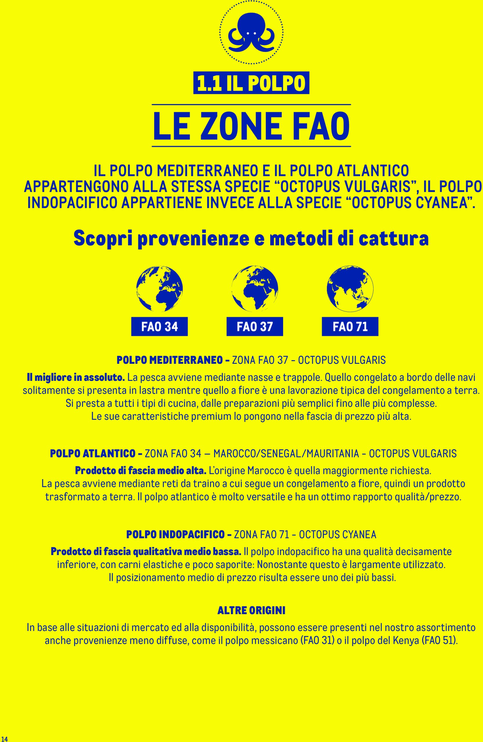 metro - Volantino Metro - Catalogo Surgelat valido dal 20/05 al 31/05 - page: 14 metro - Volantino Metro - Catalogo Surgelat valido dal 20/05 al 31/05 - page: 14