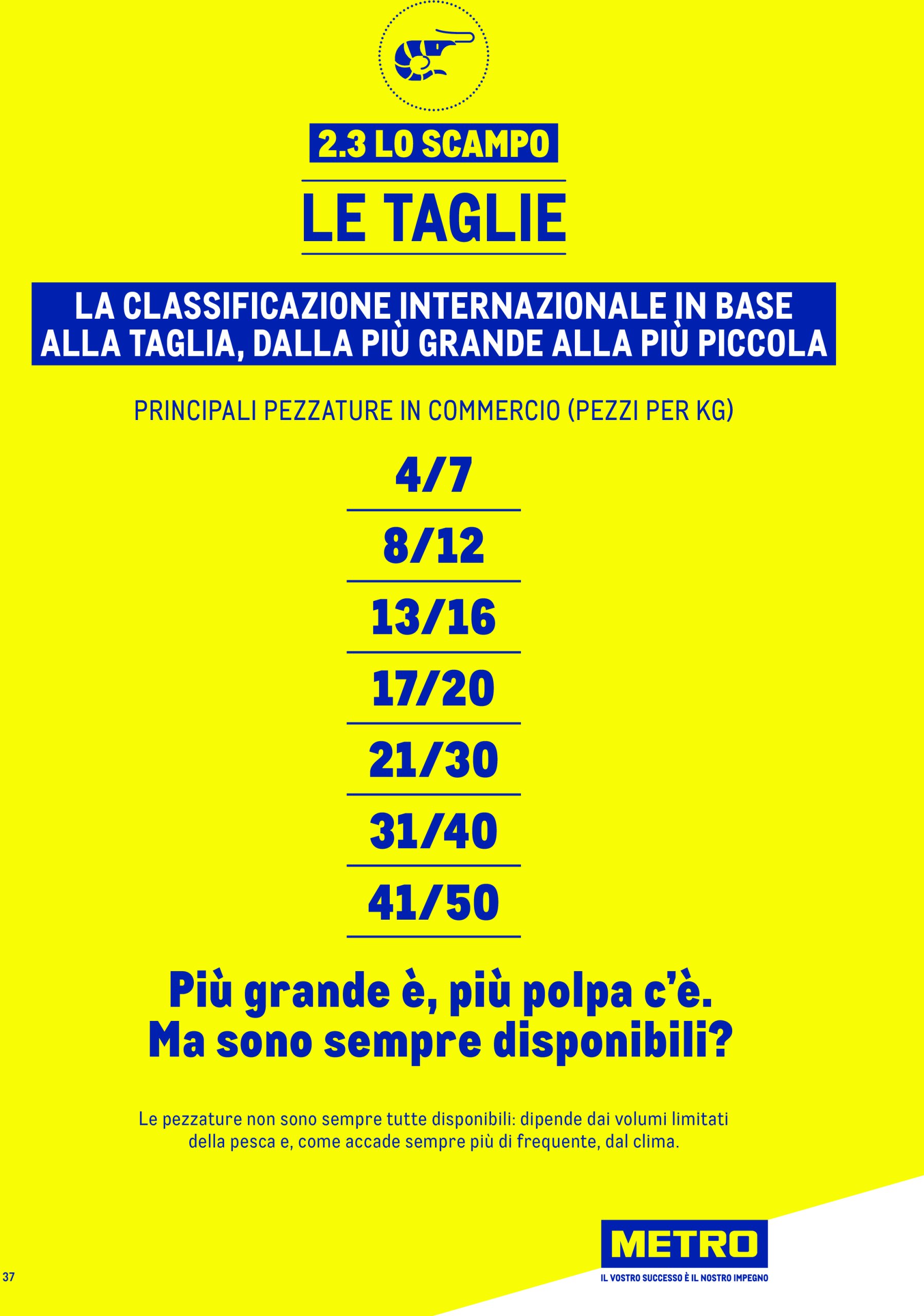 metro - Volantino Metro - Catalogo Surgelat valido dal 20/05 al 31/05 - page: 37 metro - Volantino Metro - Catalogo Surgelat valido dal 20/05 al 31/05 - page: 37