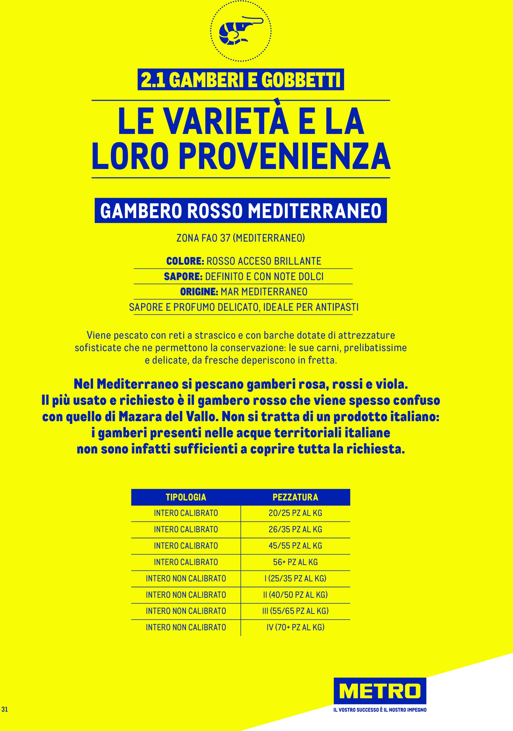 metro - Volantino Metro - Catalogo Surgelat valido dal 20/05 al 31/05 - page: 31 metro - Volantino Metro - Catalogo Surgelat valido dal 20/05 al 31/05 - page: 31