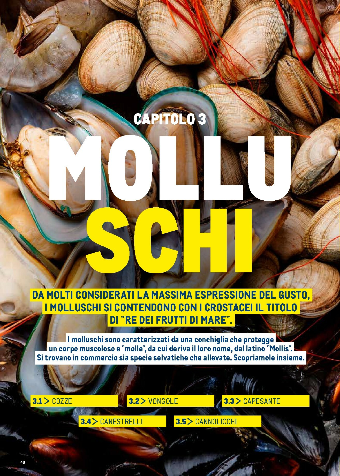 metro - Volantino Metro - Catalogo Surgelati valido dal 01/01 al 31/12 - page: 40