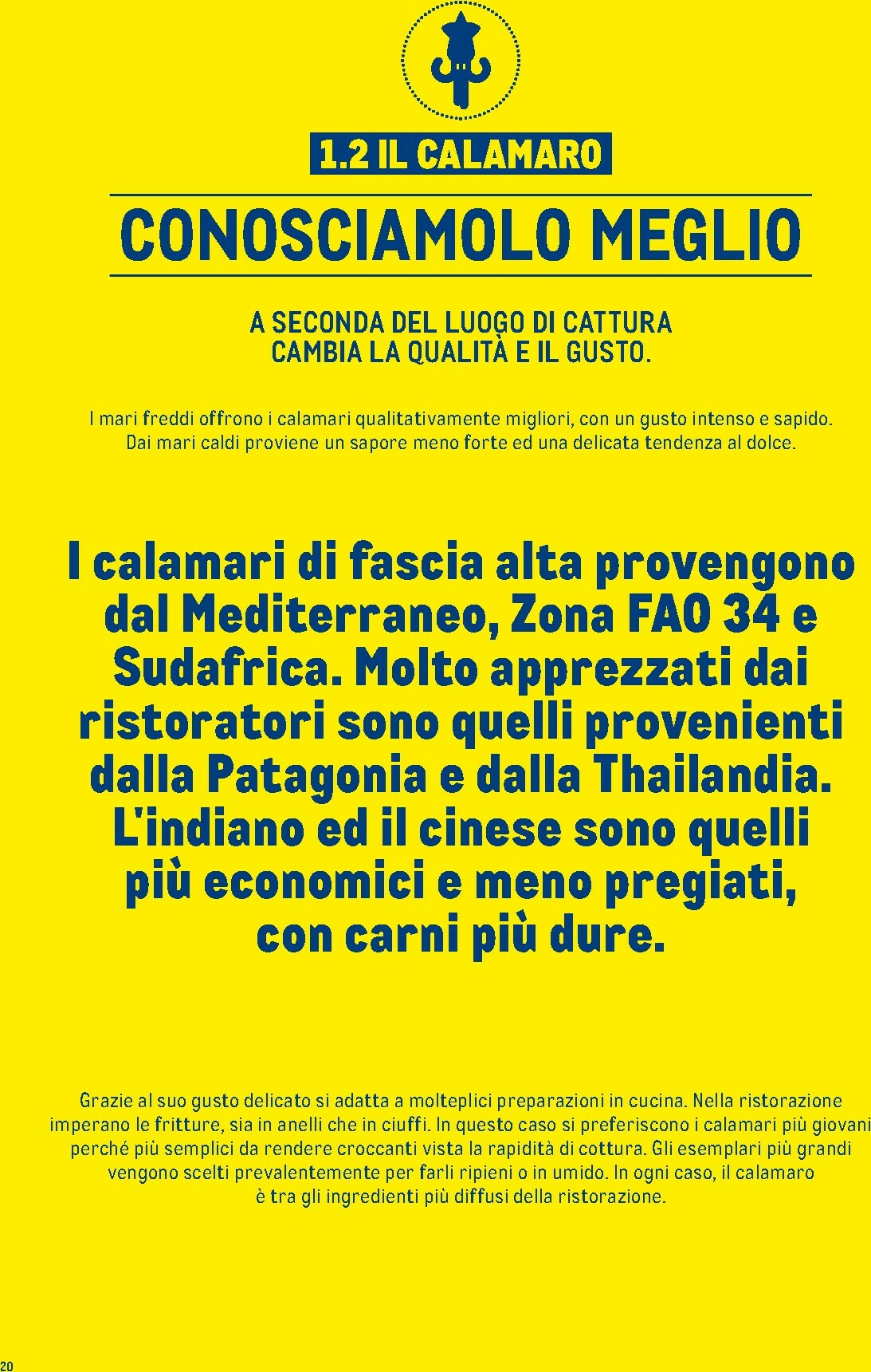 metro - Volantino Metro - Catalogo Surgelati valido dal 01/01 al 31/12 - page: 20