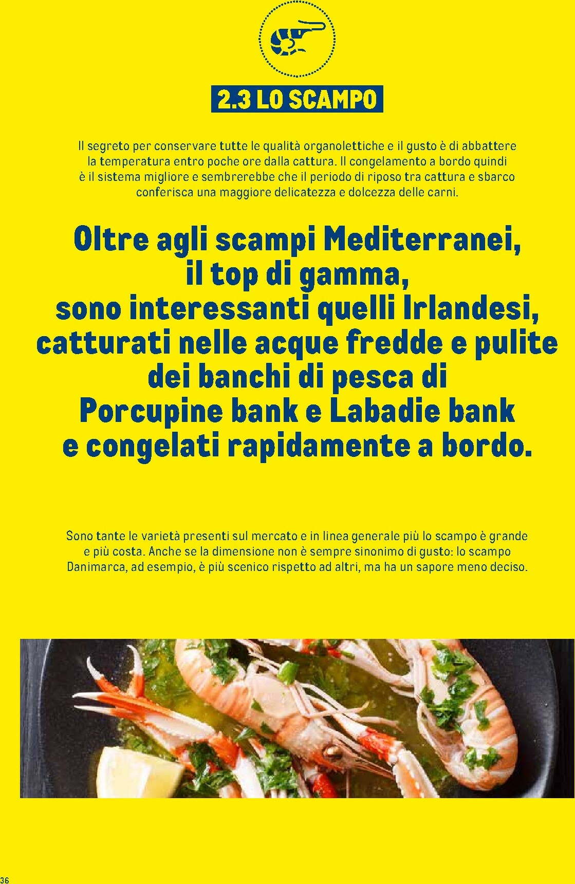 metro - Volantino Metro - Catalogo Surgelati valido dal 01/01 al 31/12 - page: 36