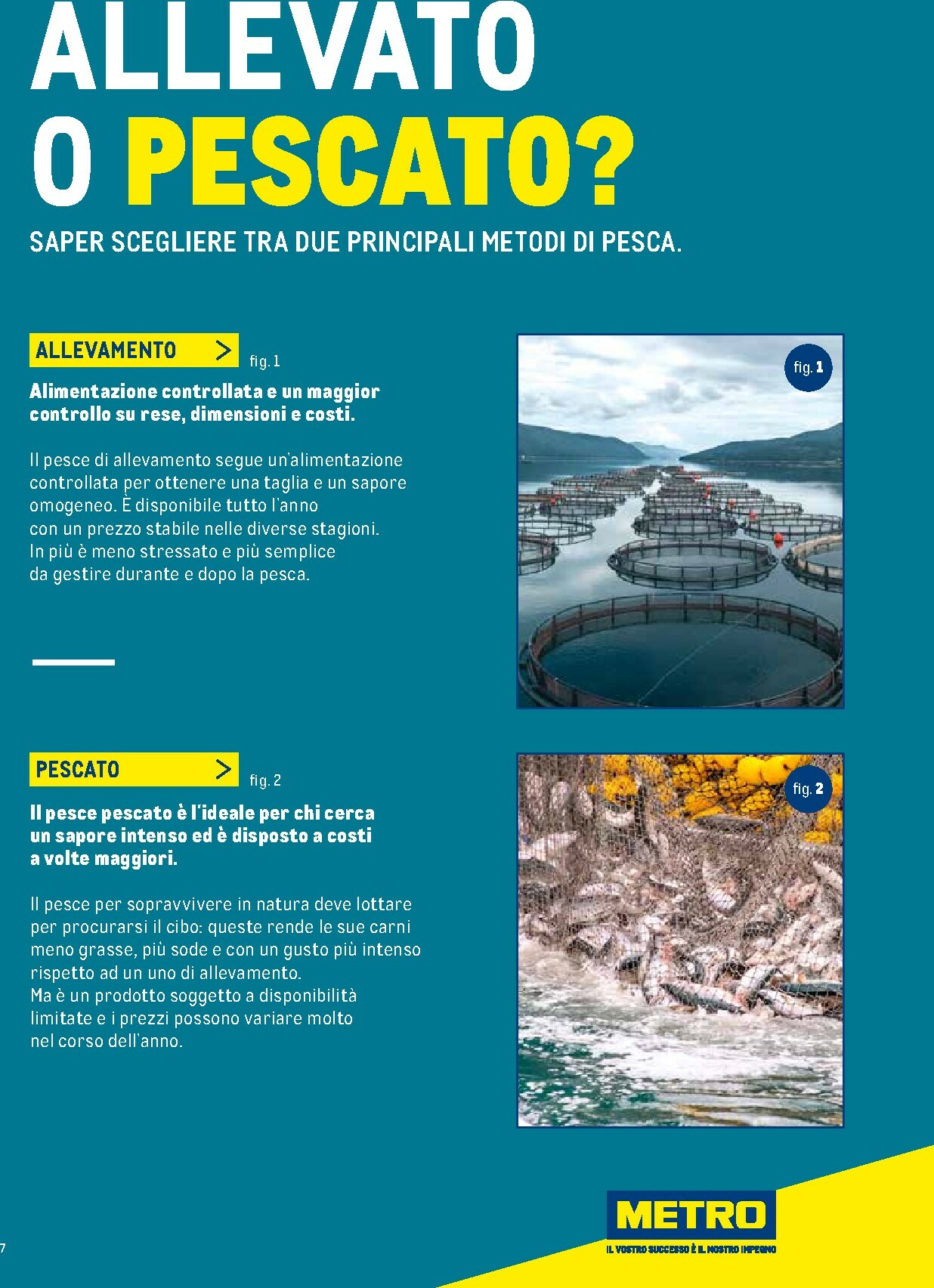 metro - Volantino Metro - Catalogo Surgelati valido dal 01/01 al 31/12 - page: 7