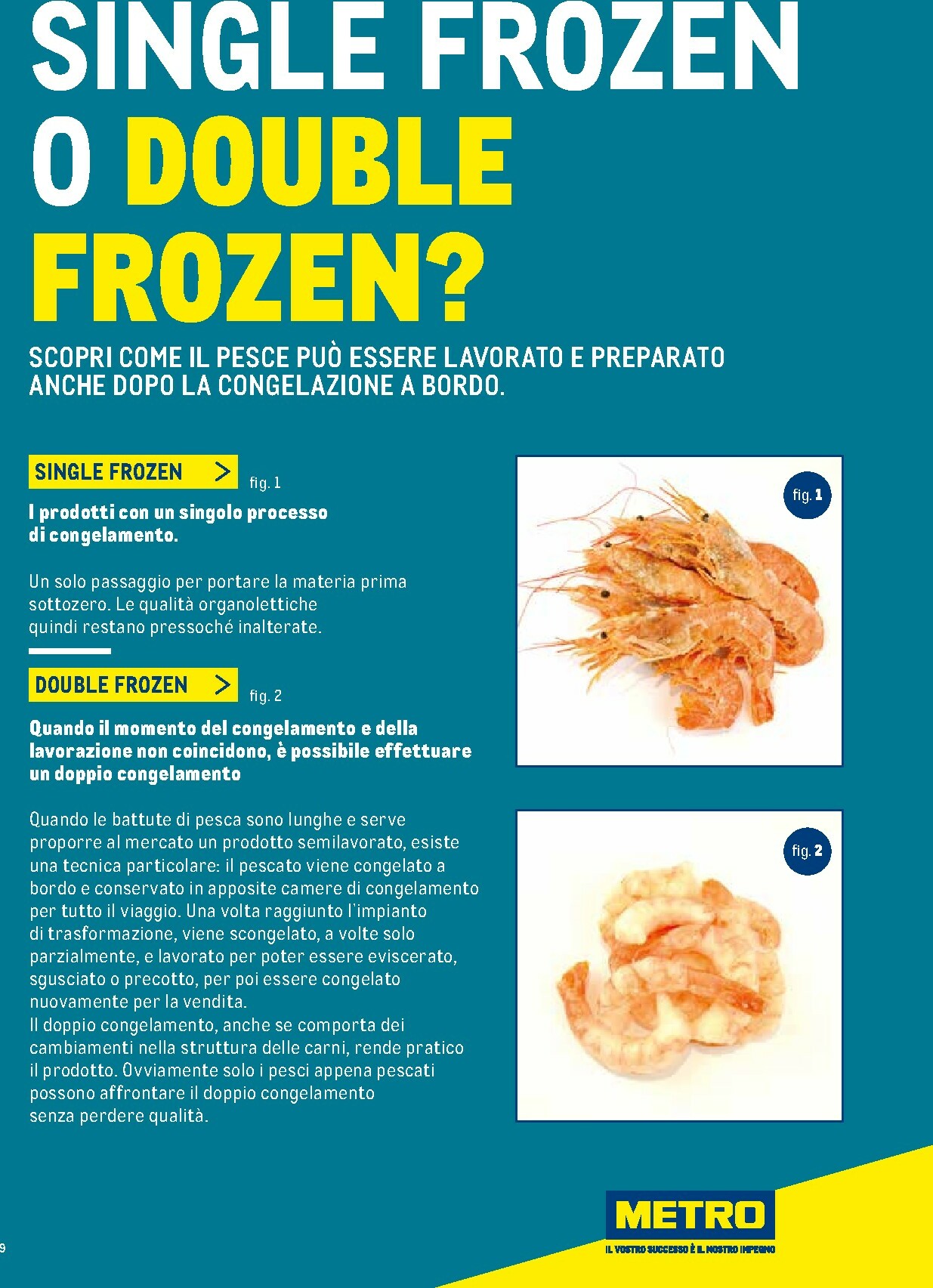 metro - Volantino Metro - Catalogo Surgelati valido dal 01/01 al 31/12 - page: 9