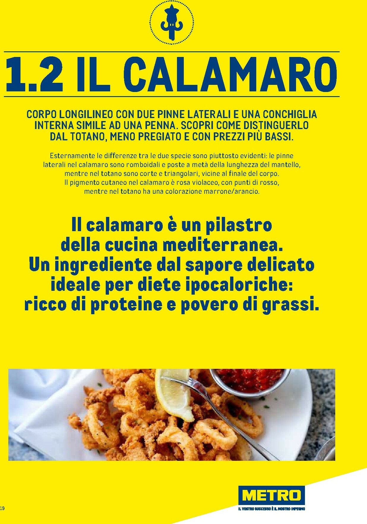 metro - Volantino Metro - Catalogo Surgelati valido dal 01/01 al 31/12 - page: 19