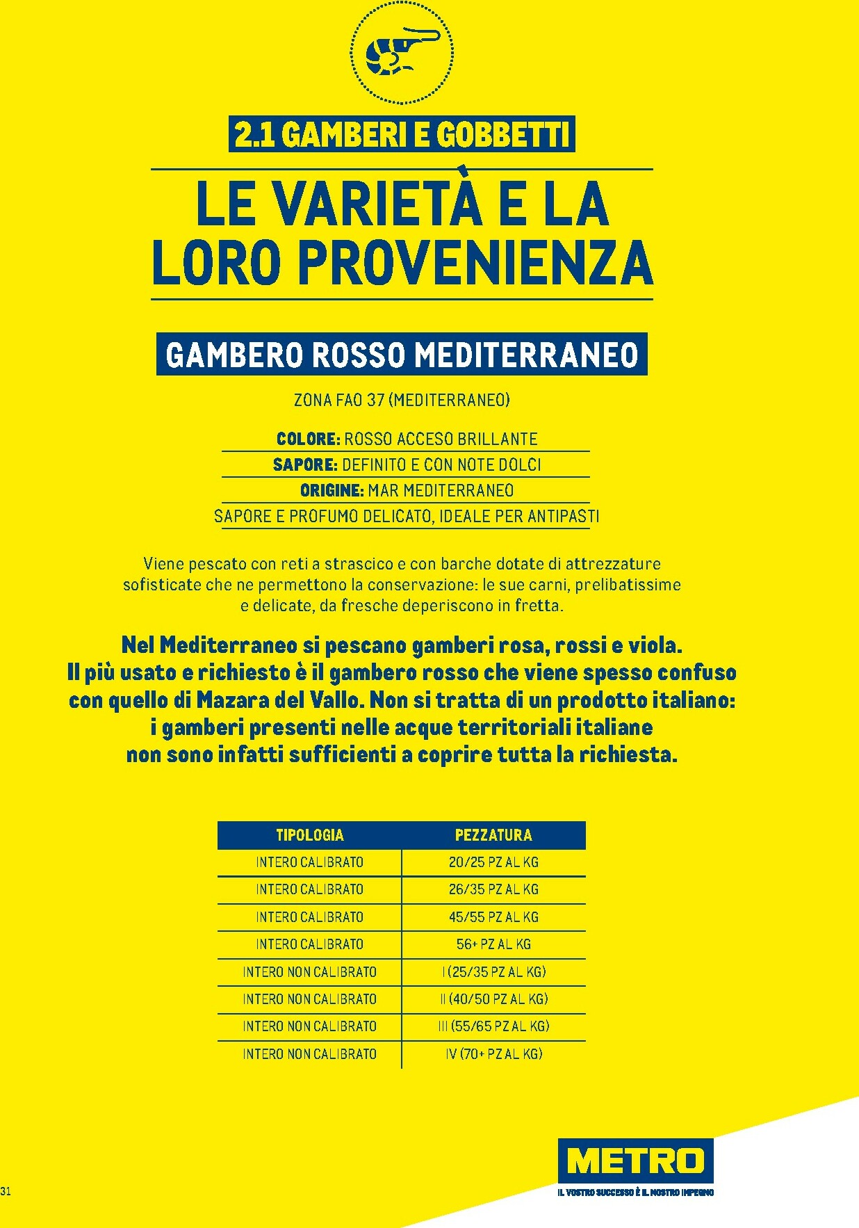 metro - Volantino Metro - Catalogo Surgelati valido dal 01/01 al 31/12 - page: 31