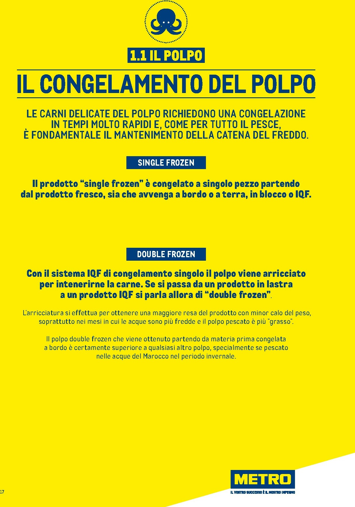 metro - Volantino Metro - Catalogo Surgelati valido dal 01/01 al 31/12 - page: 17