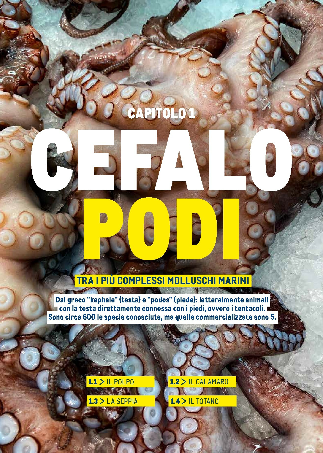 metro - Volantino Metro - Catalogo Surgelati valido dal 01/01 al 31/12 - page: 12