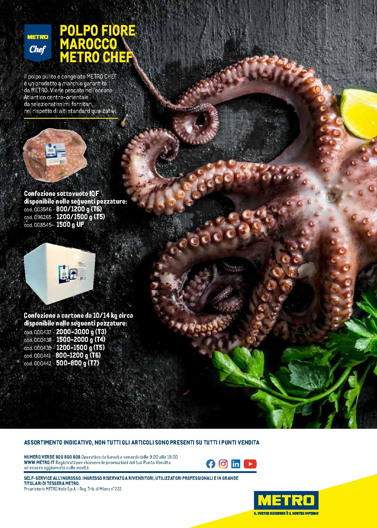 metro - Volantino Metro - Catalogo Surgelati valido dal 01/01 al 31/12 - page: 105