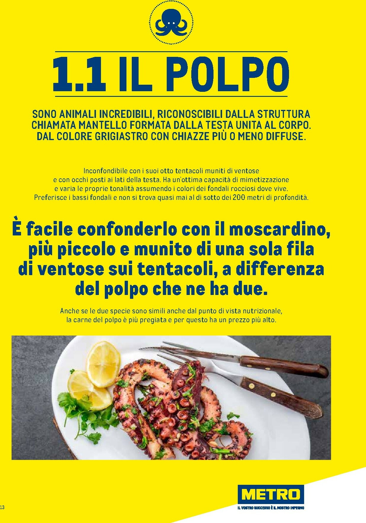 metro - Volantino Metro - Catalogo Surgelati valido dal 01/01 al 31/12 - page: 13