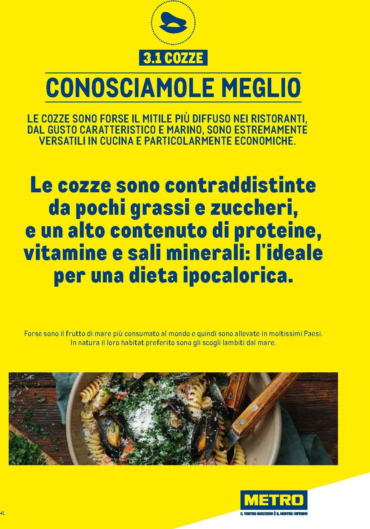 metro - Volantino Metro - Catalogo Surgelati valido dal 01/01 al 31/12 - page: 41