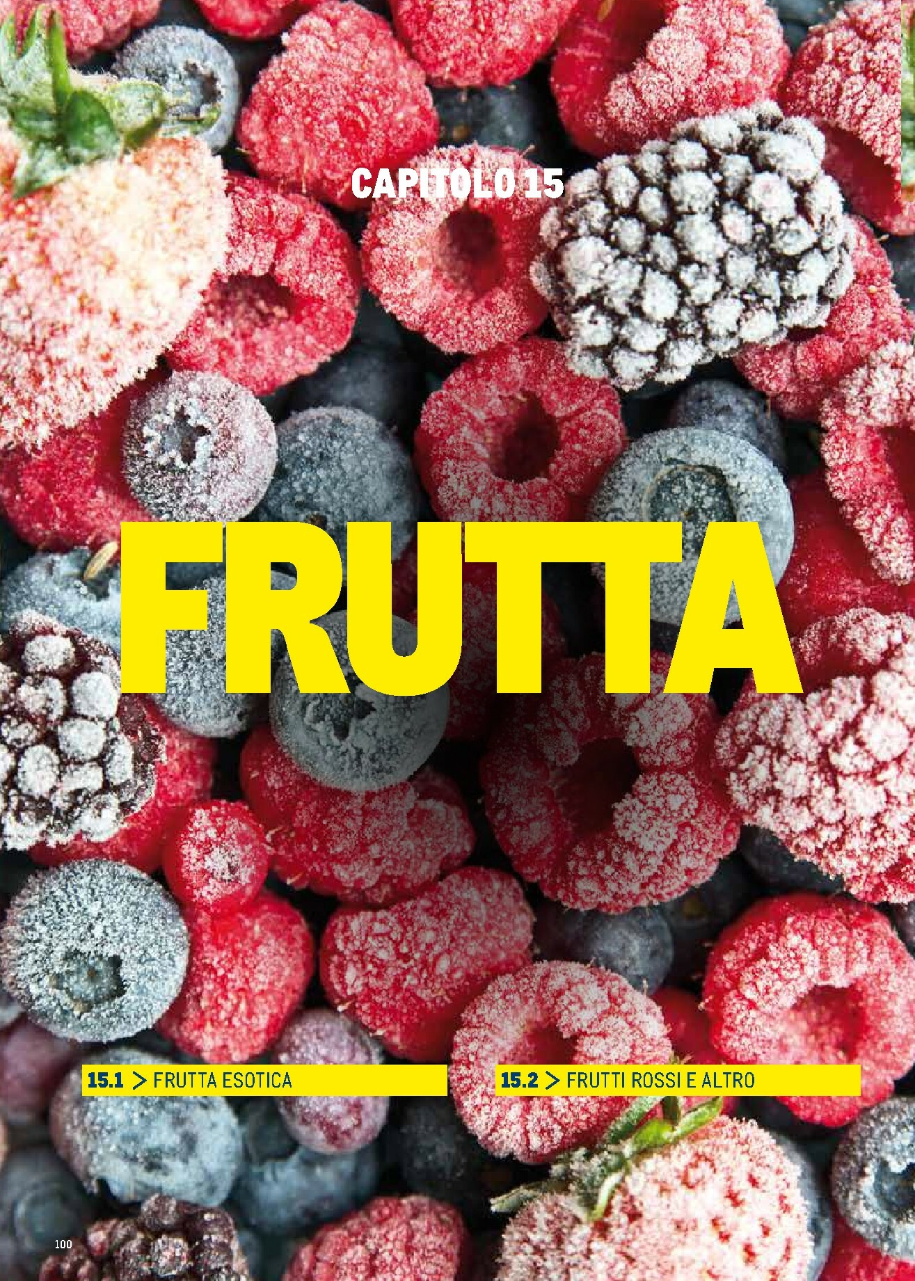 metro - Volantino Metro - Catalogo Surgelati valido dal 01/01 al 31/12 - page: 100