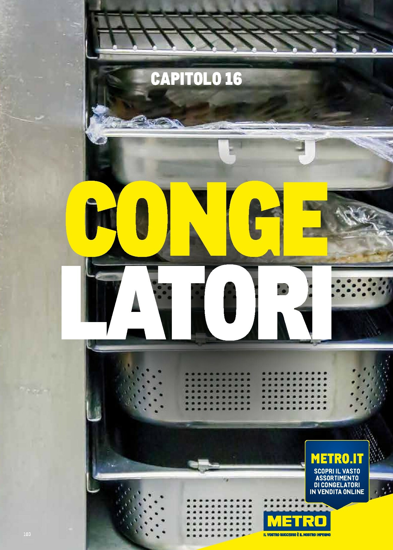 metro - Volantino Metro - Catalogo Surgelati valido dal 01/01 al 31/12 - page: 103