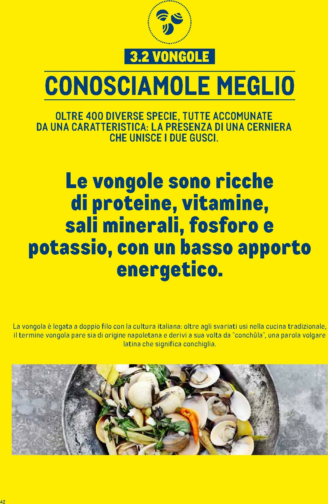 metro - Volantino Metro - Catalogo Surgelati valido dal 01/01 al 31/12 - page: 42