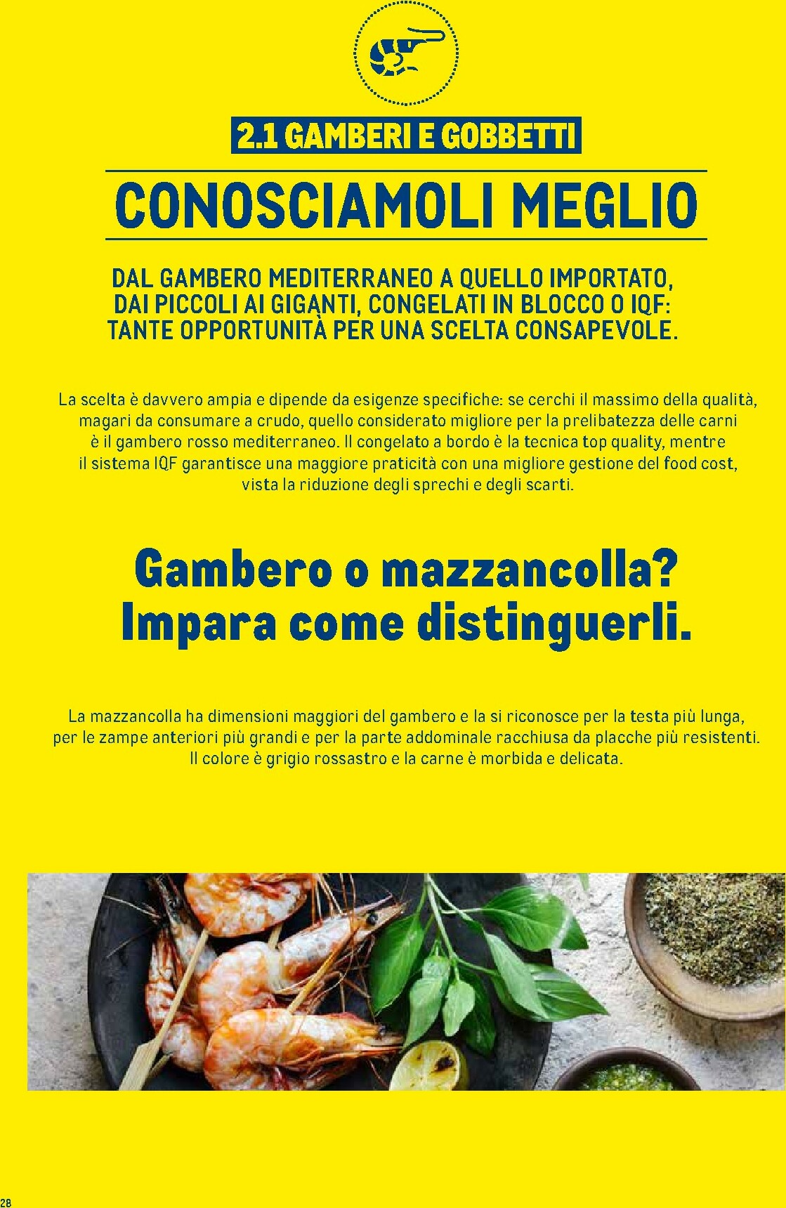 metro - Volantino Metro - Catalogo Surgelati valido dal 01/01 al 31/12 - page: 28