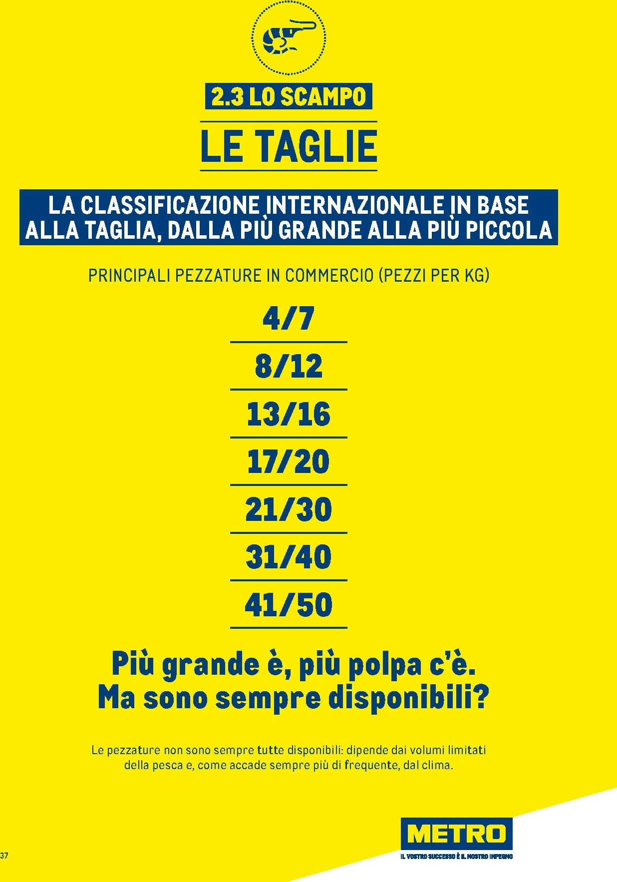 metro - Volantino Metro - Catalogo Surgelati valido dal 01/01 al 31/12 - page: 37